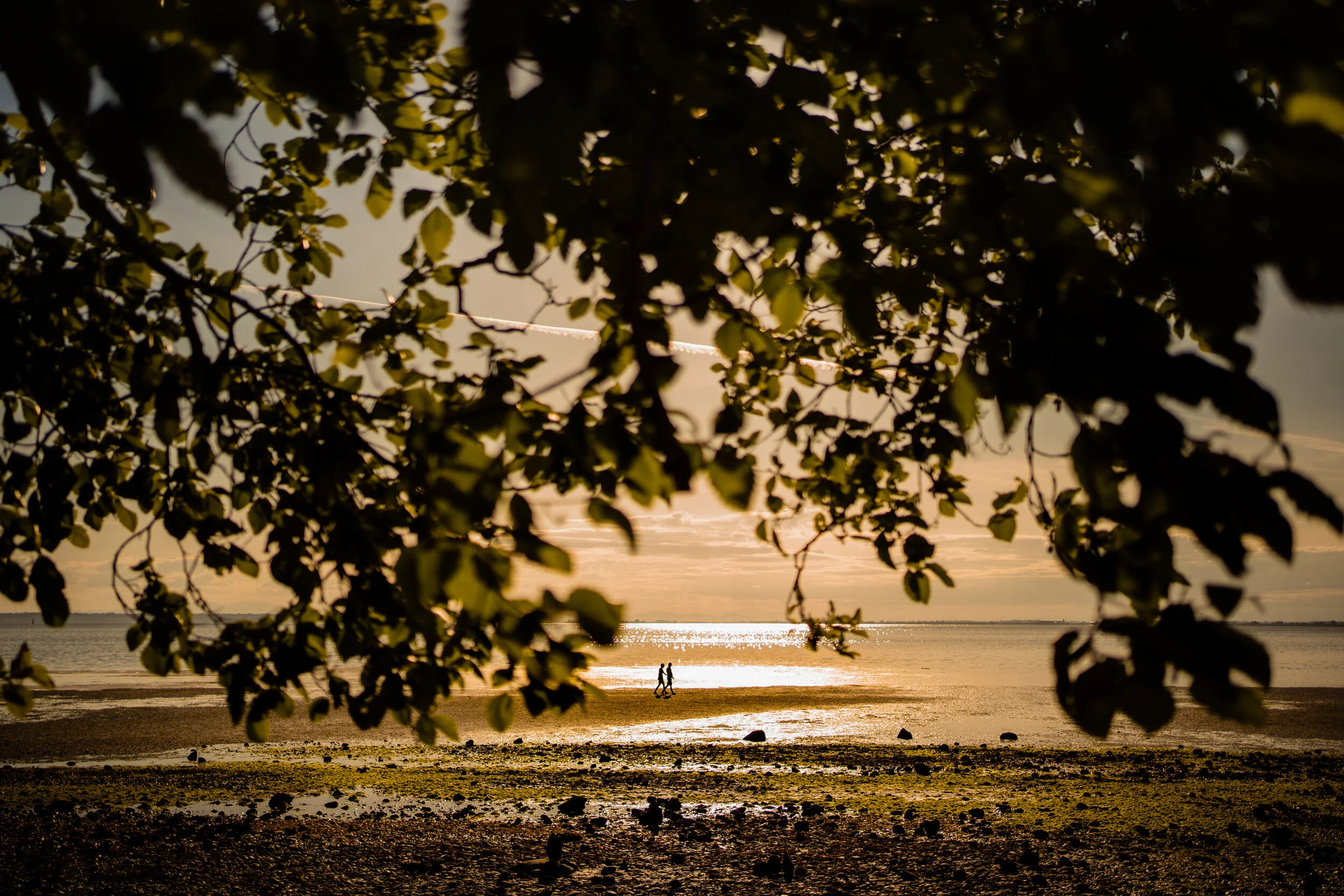 Vancouver Wedding Photographer Tam Tran Photography111.jpg
