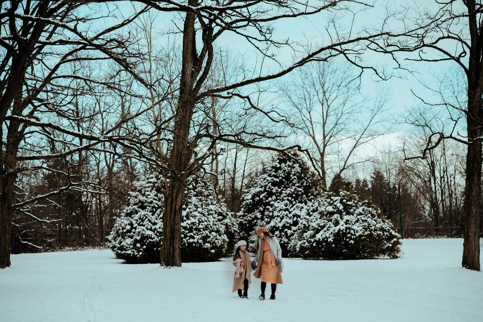 outdoor maternity in vancouver17943.JPG