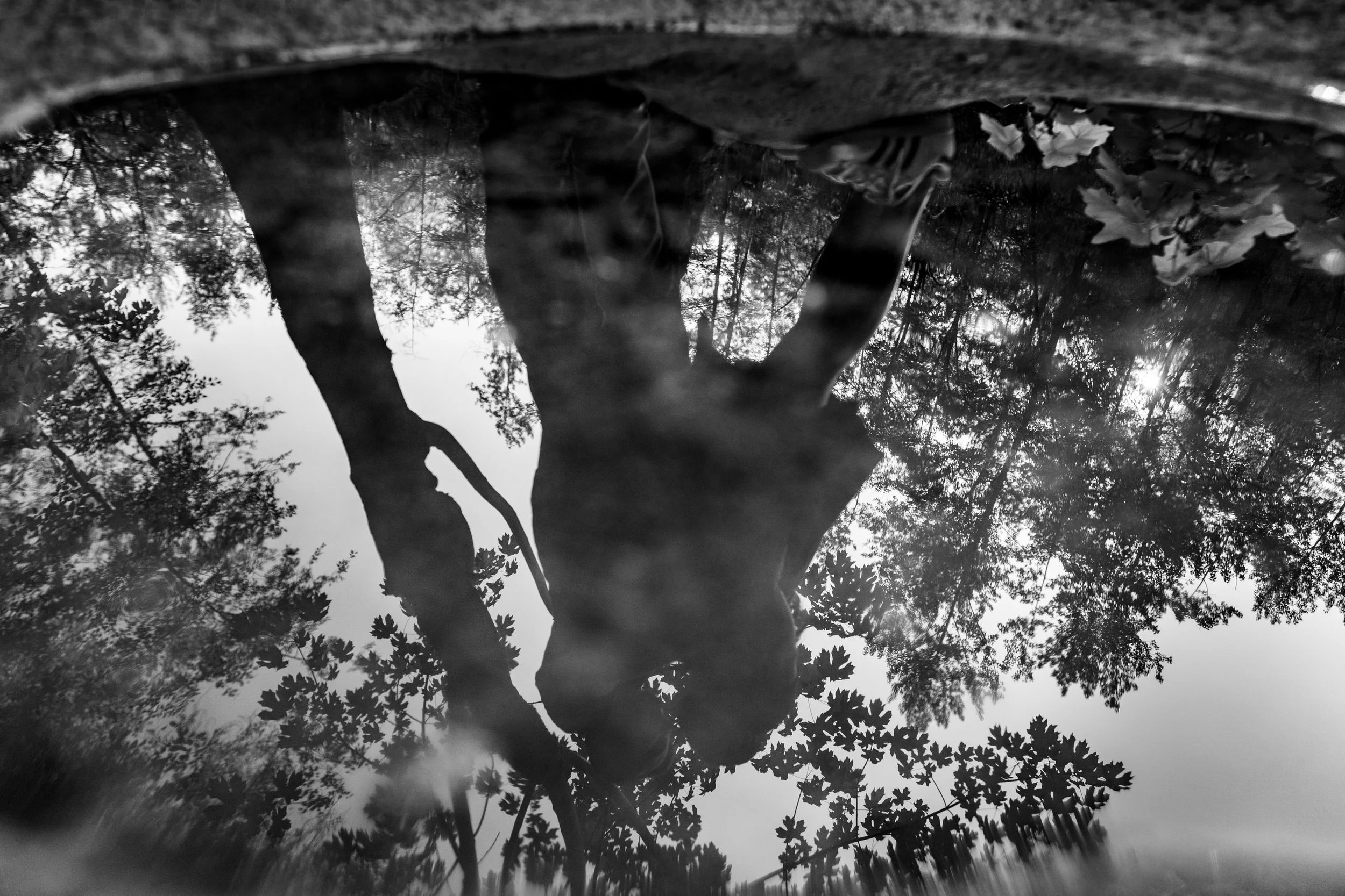 LynnCanyon|Weddingphotographyvancouver509.JPG