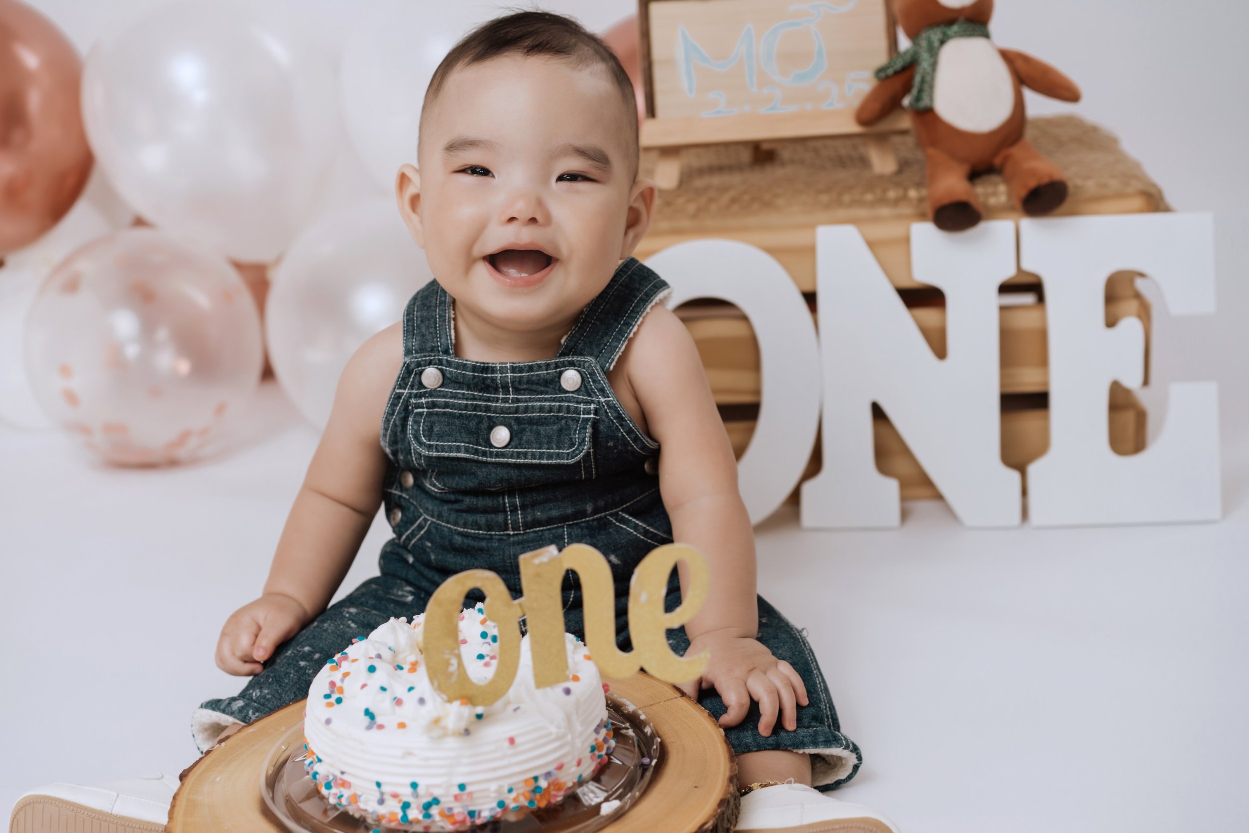 babyandfamilyphotographyvancouver1year3.JPG