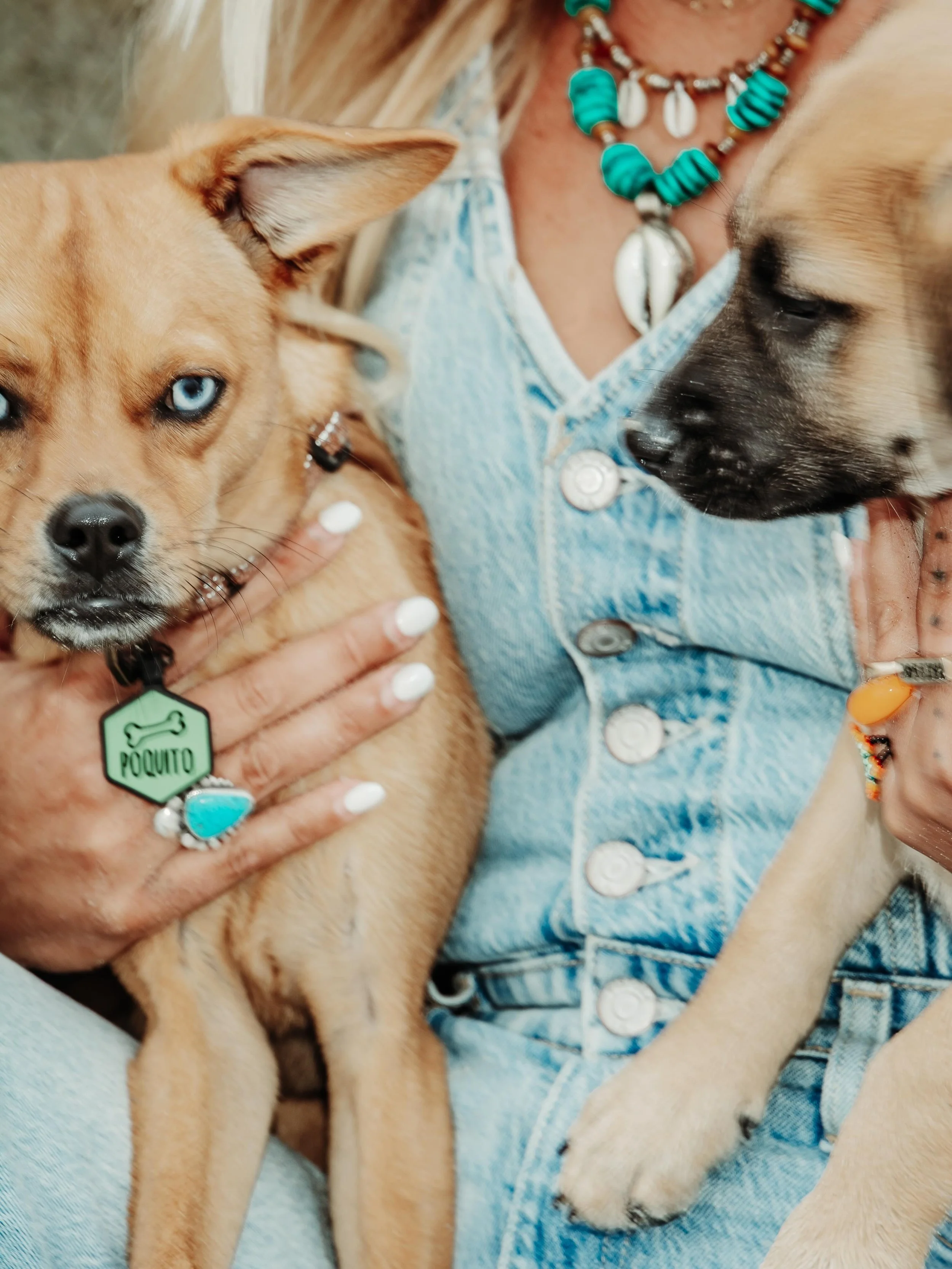 Mexi mutts are my love language