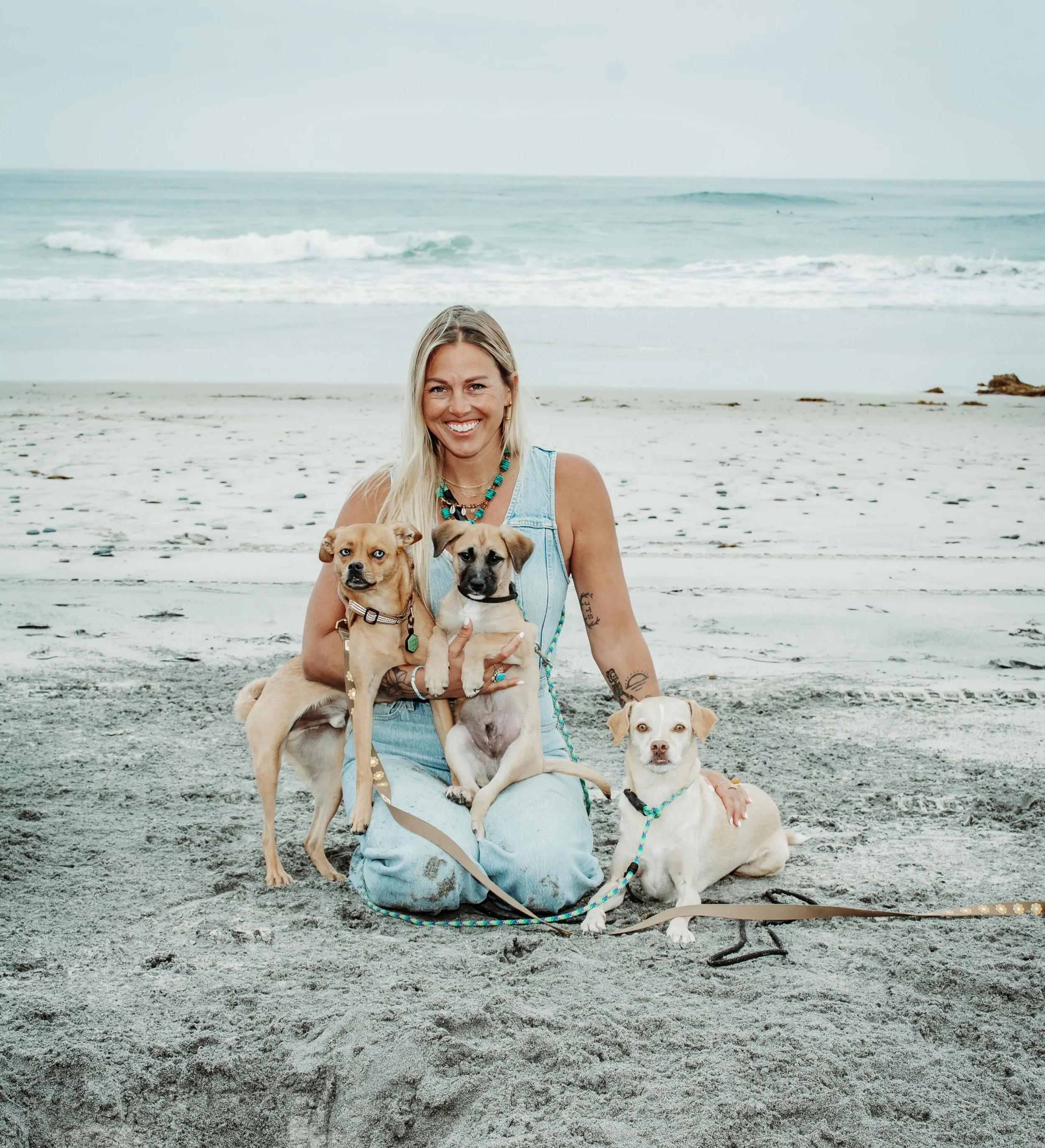 How many dogs is too many dogs? 🐕