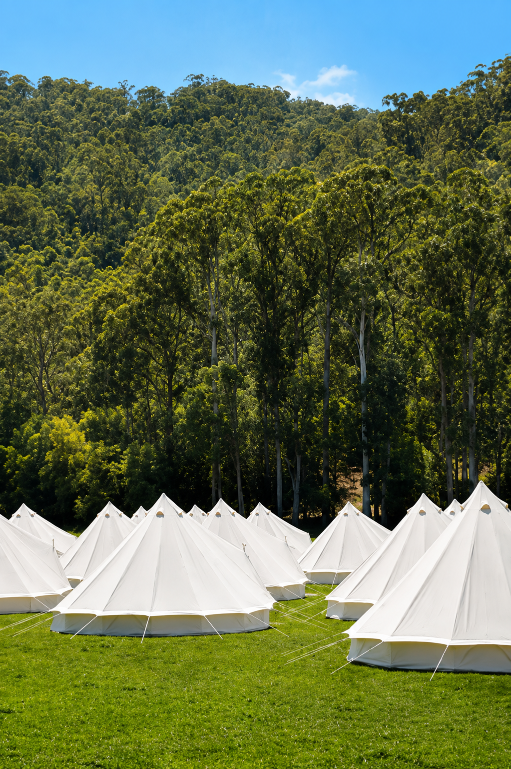 White tents set up on a grassy field with tall green trees and forested hills in the background under a blue sky.