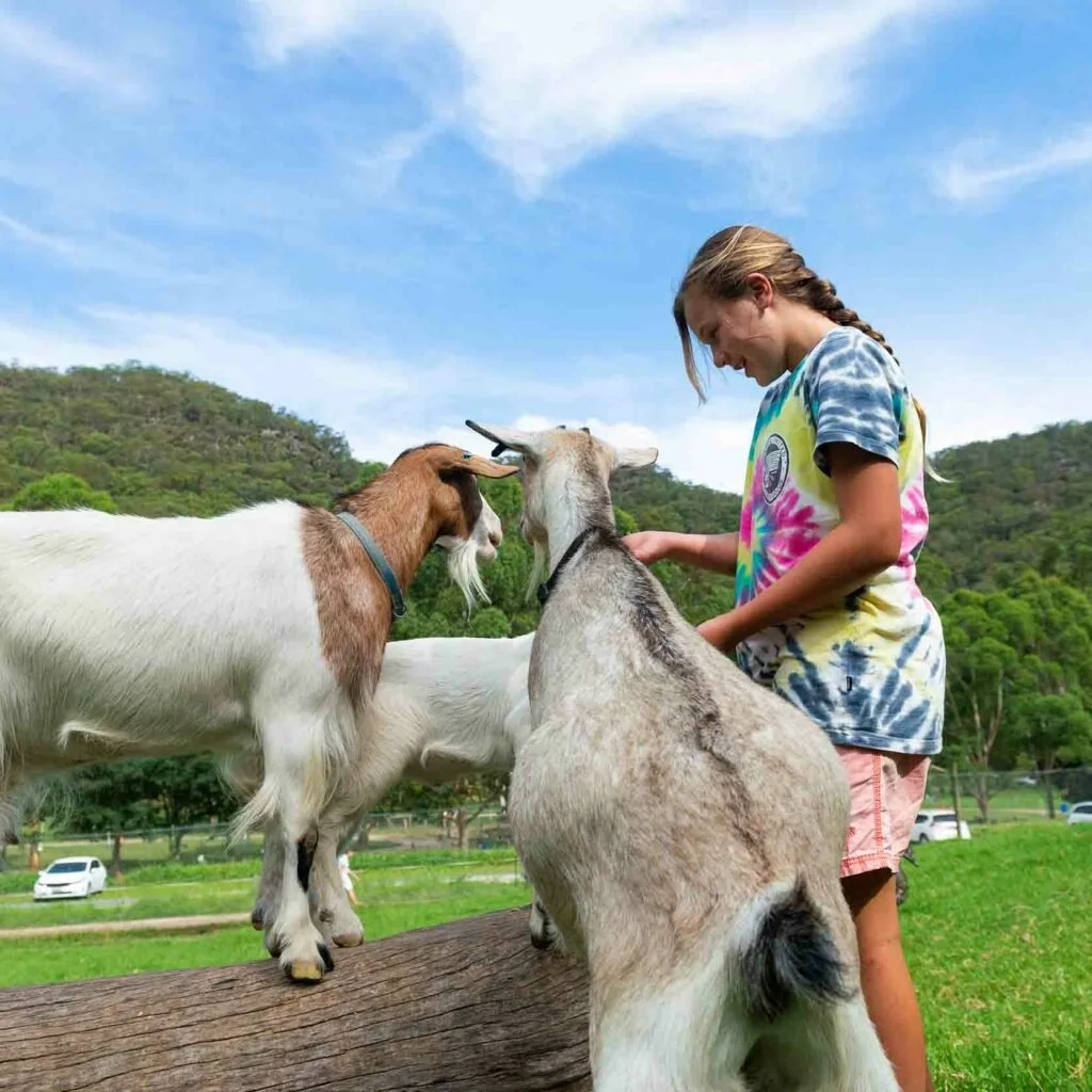 A girl in a colorful tie-dye shirt petting two goats on a log, outdoor setting with green hills and a blue sky.