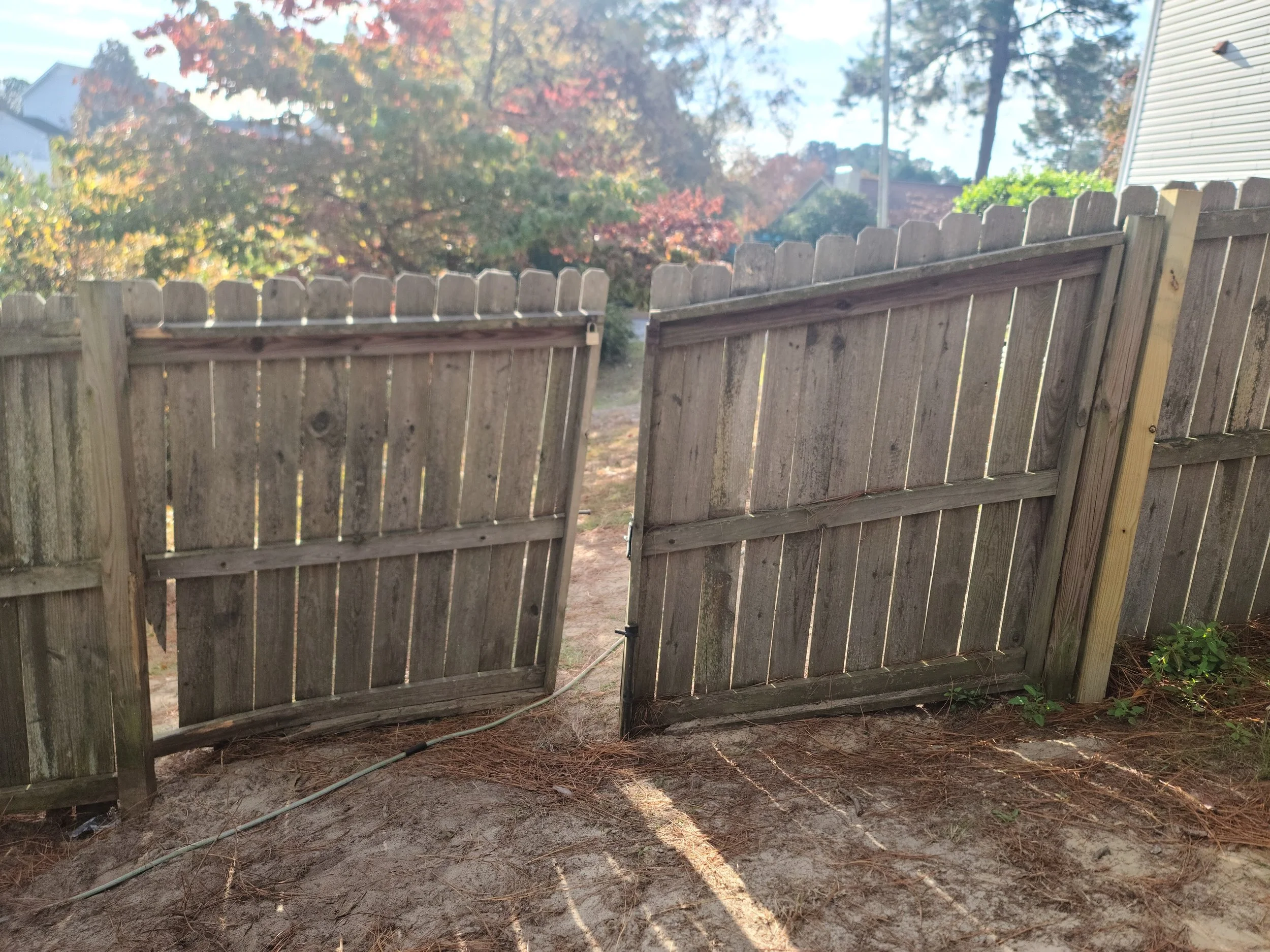 A wooden fence with a gate is slightly open, leading to a backyard with trees in autumn colors and more houses in the distance. The ground is bare dirt, and there's a garden hose on the ground.