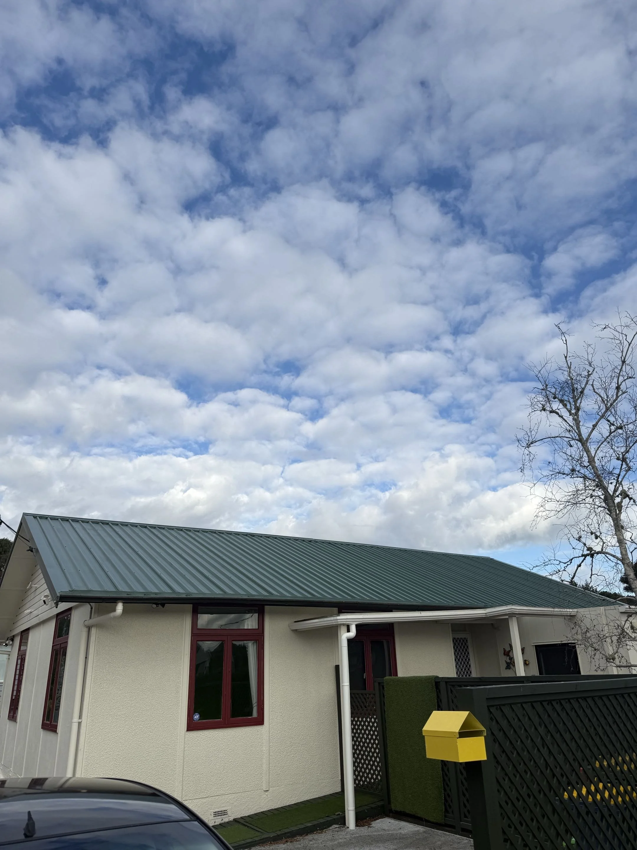 roof.jpg