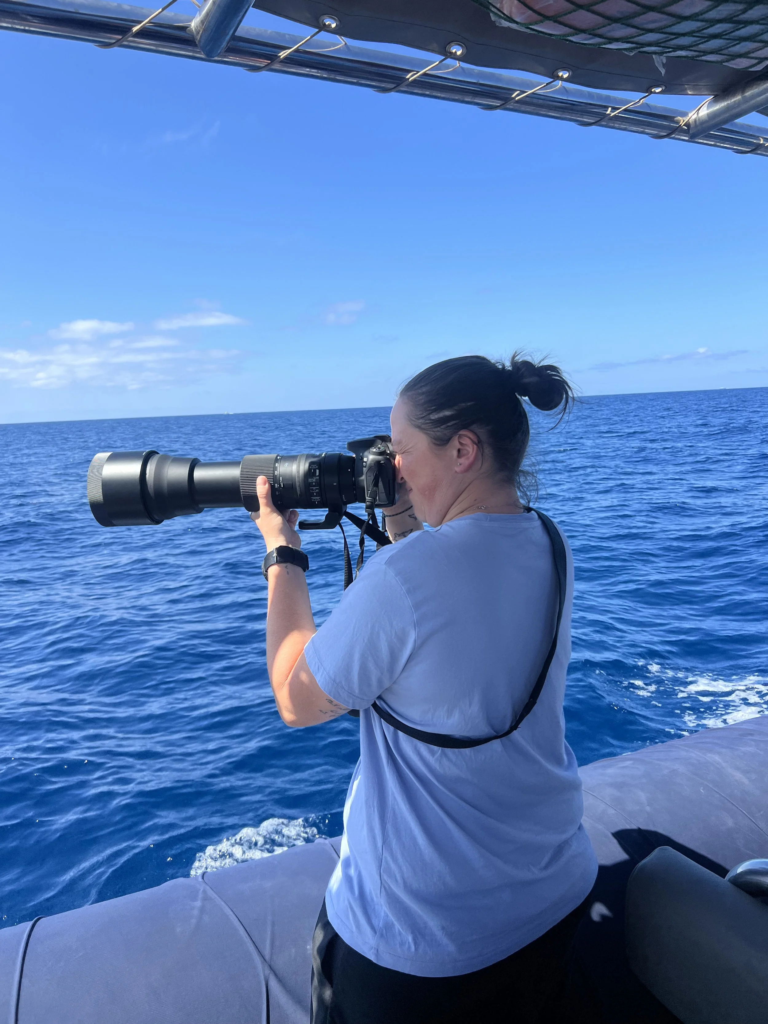 mutatiomare staff on a boat using a  telephoto lens to capture cetacean species in tenerife 