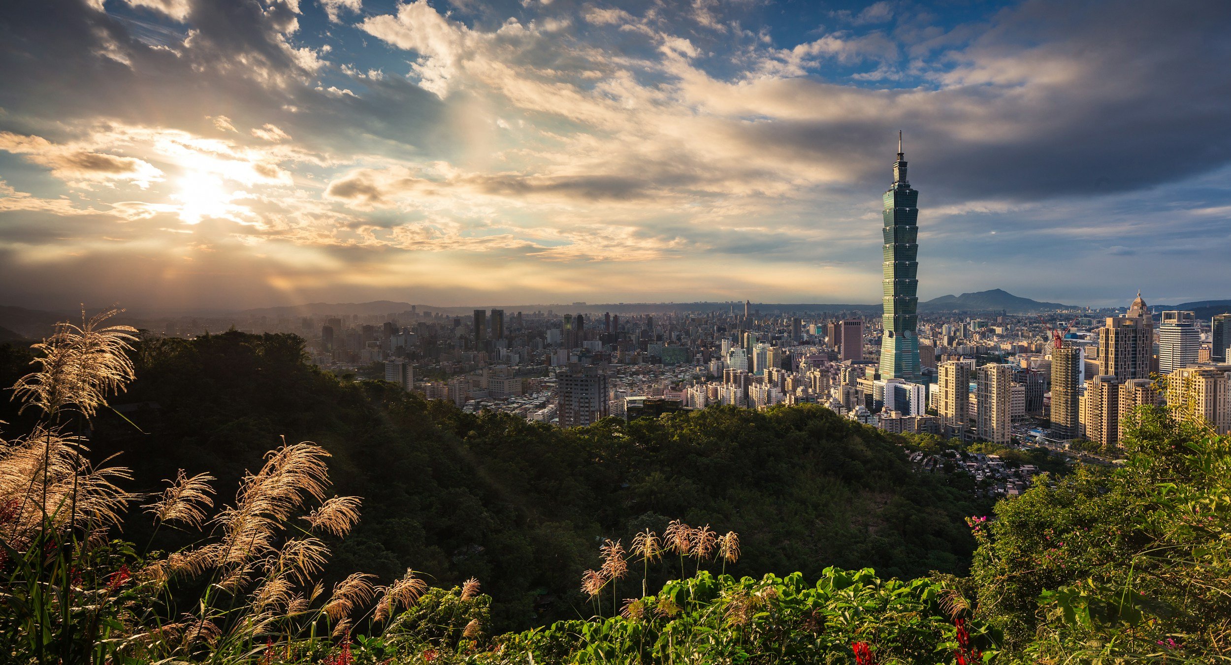 Cityscape of Taipei with Taipei 101 skyscraper against a partly cloudy sky during sunset, with lush greenery and decorative plants in the foreground.
