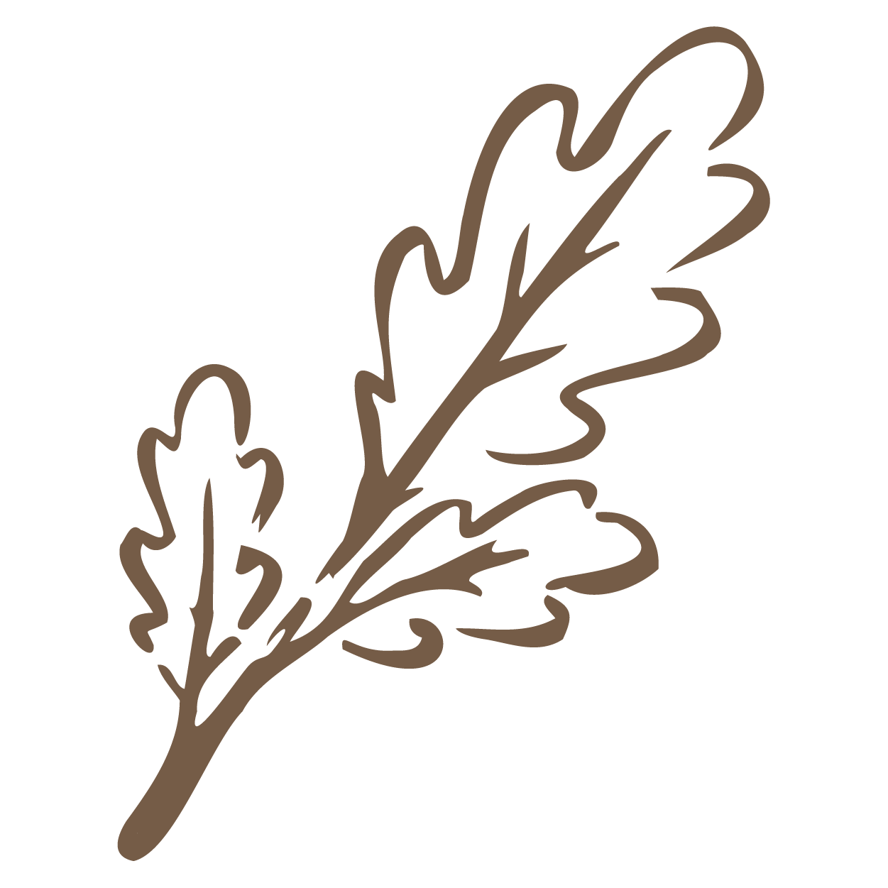 A brown line drawing of an oak branch with leaves.