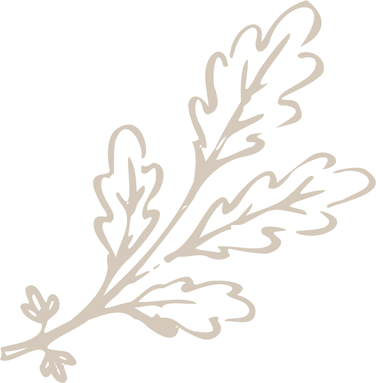 Silhouette of a sprig of parsley with detailed leaves.