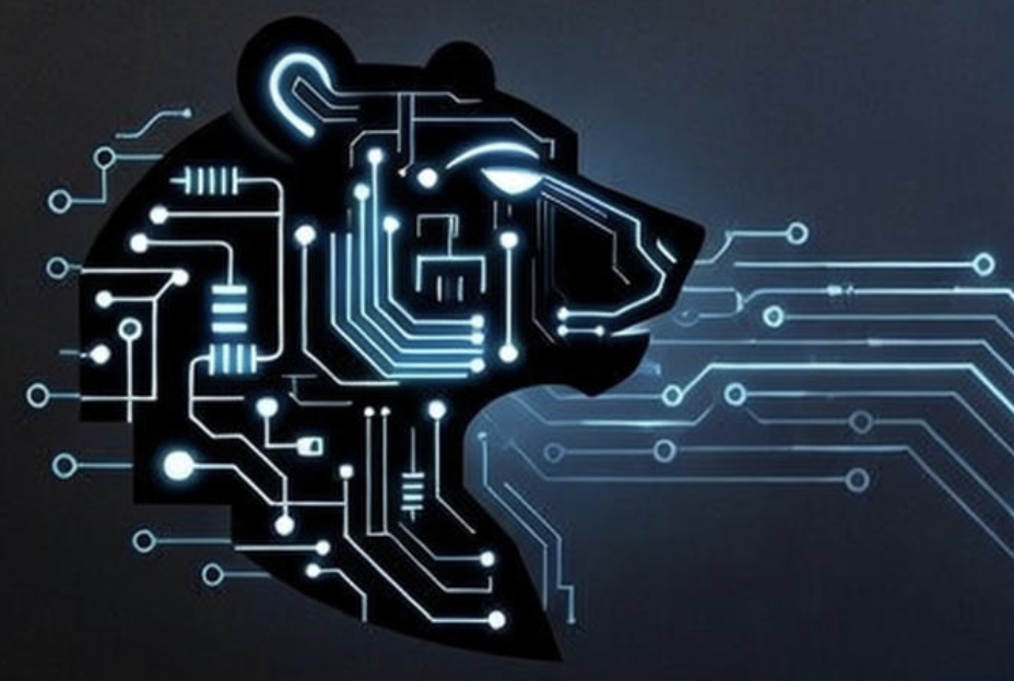 bears_Consulting