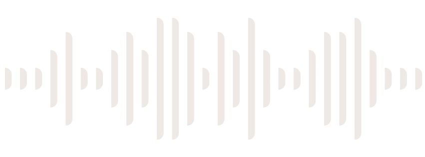 Sound wave visualization with vertical white lines of varying heights on a black background.