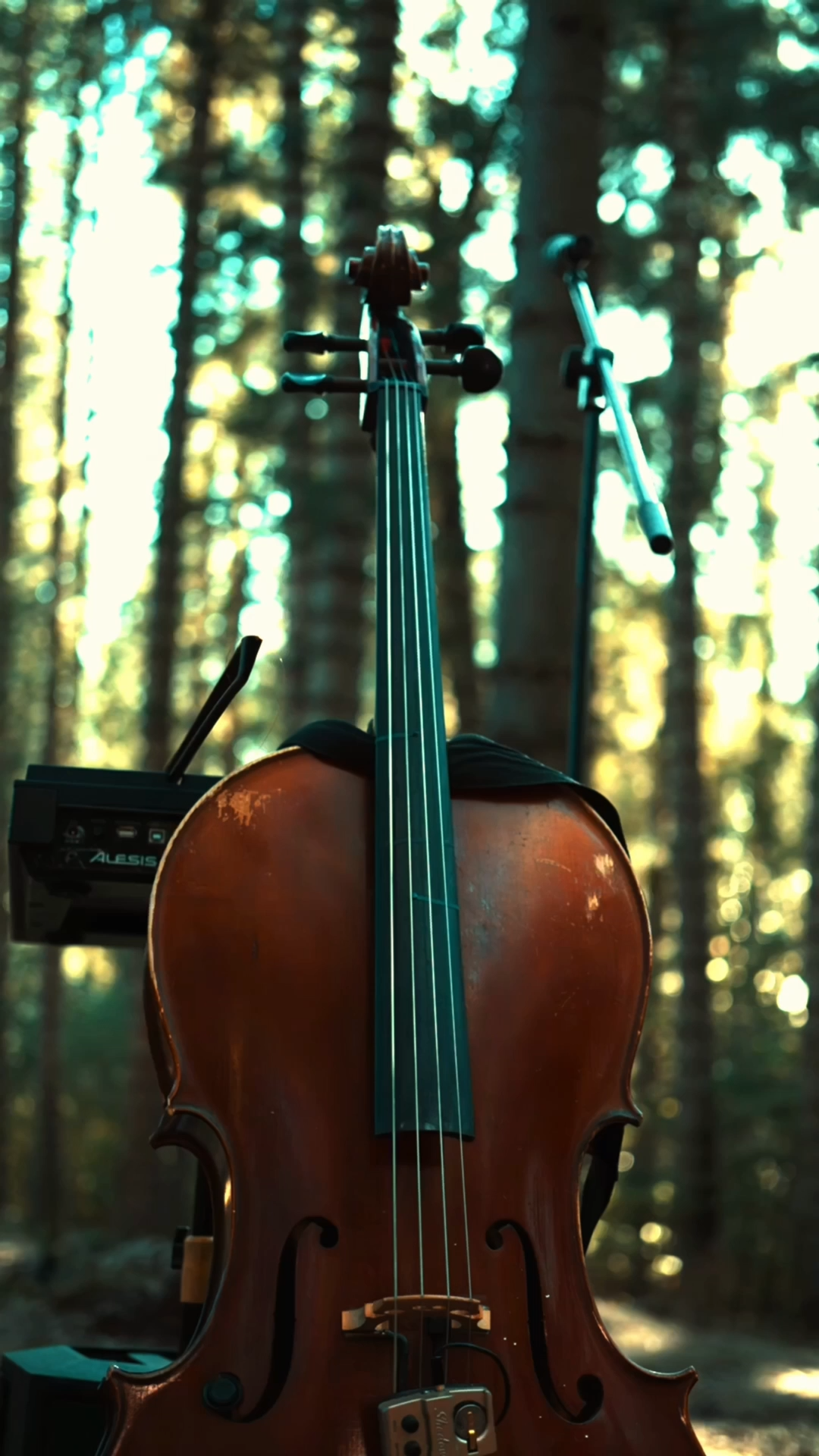 Close-up of a viola in a forest, with another viola slightly blurred in the background, capturing the strings and wooden body.