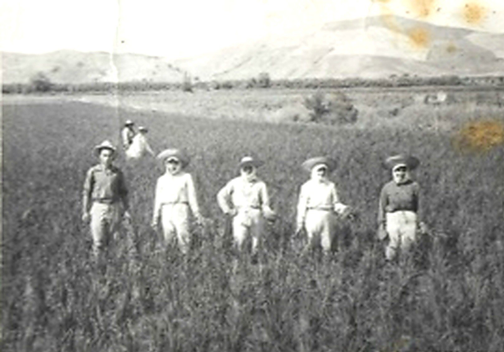 La "abuela Pepa" trabajando en los arrozales