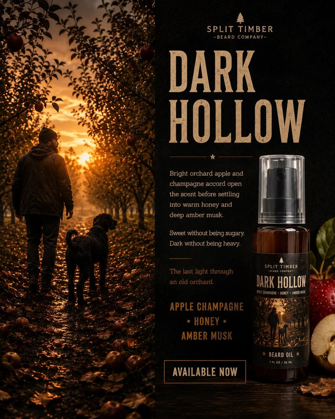 Dark Hollow

An old orchard tucked away that most people had forgotten about.

The air moving the scent of apples that had fallen into the grass, a touch of honey and the warm rich musk that comes from the woods at the end of the day.

Some places ju