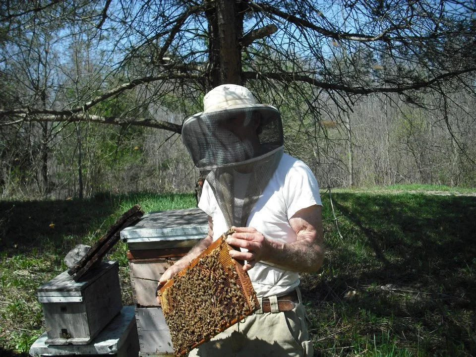 Beekeeper inspecting a honeycomb frame near a beehive outdoors.