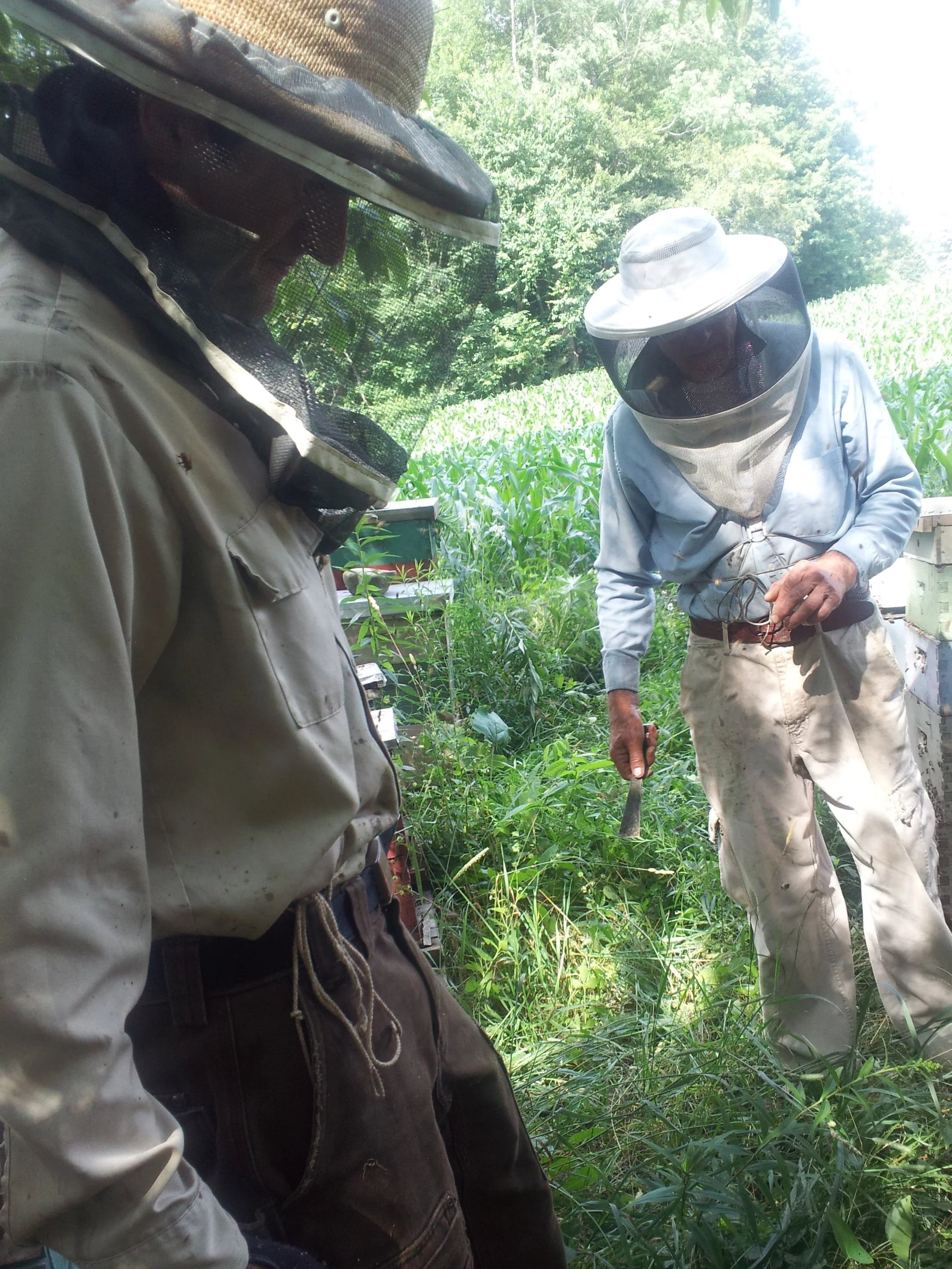 Two men wearing protective beekeeping suits and hats with veils in a lush green outdoor setting, likely engaged in beekeeping or hive maintenance.