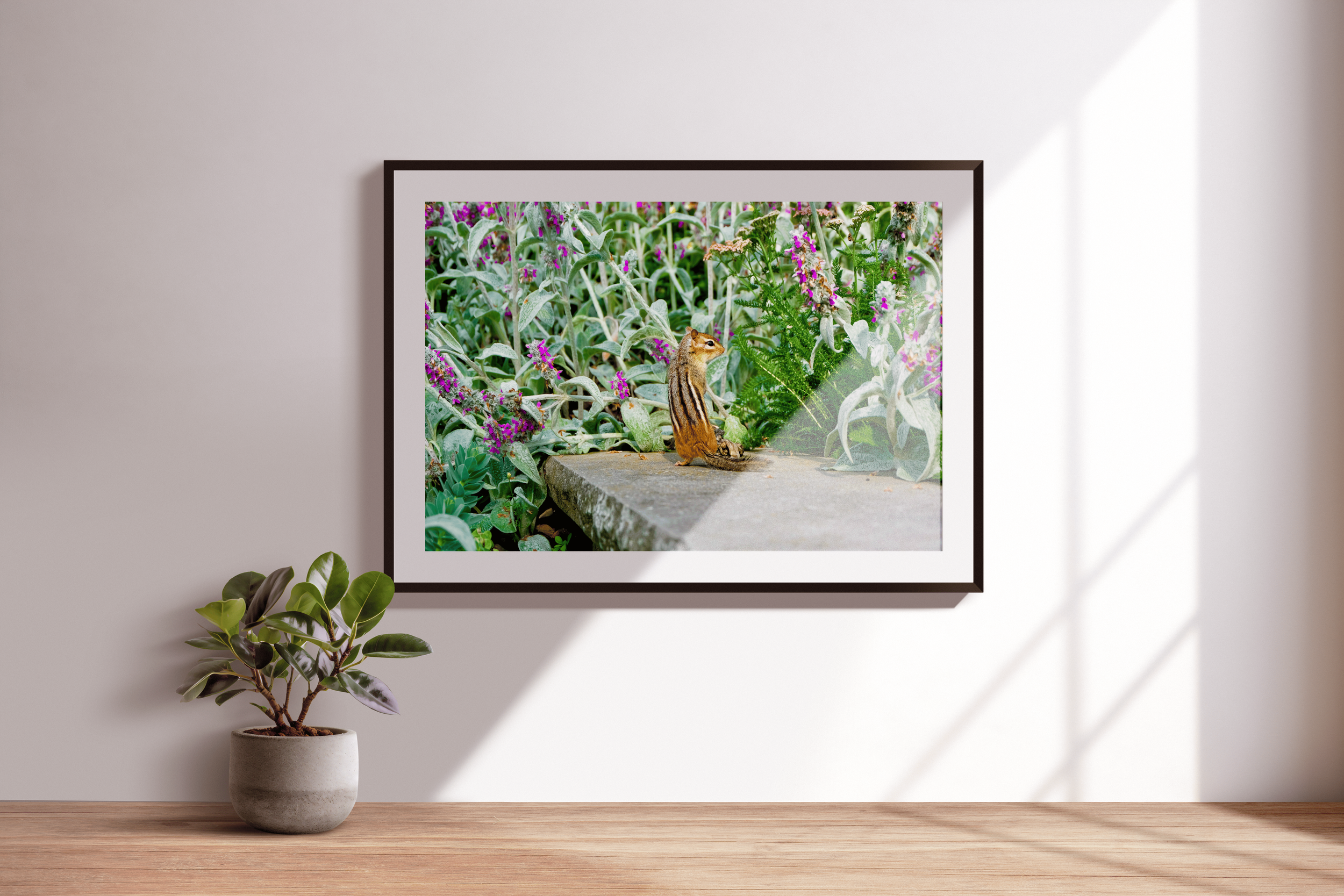 Flower Forager