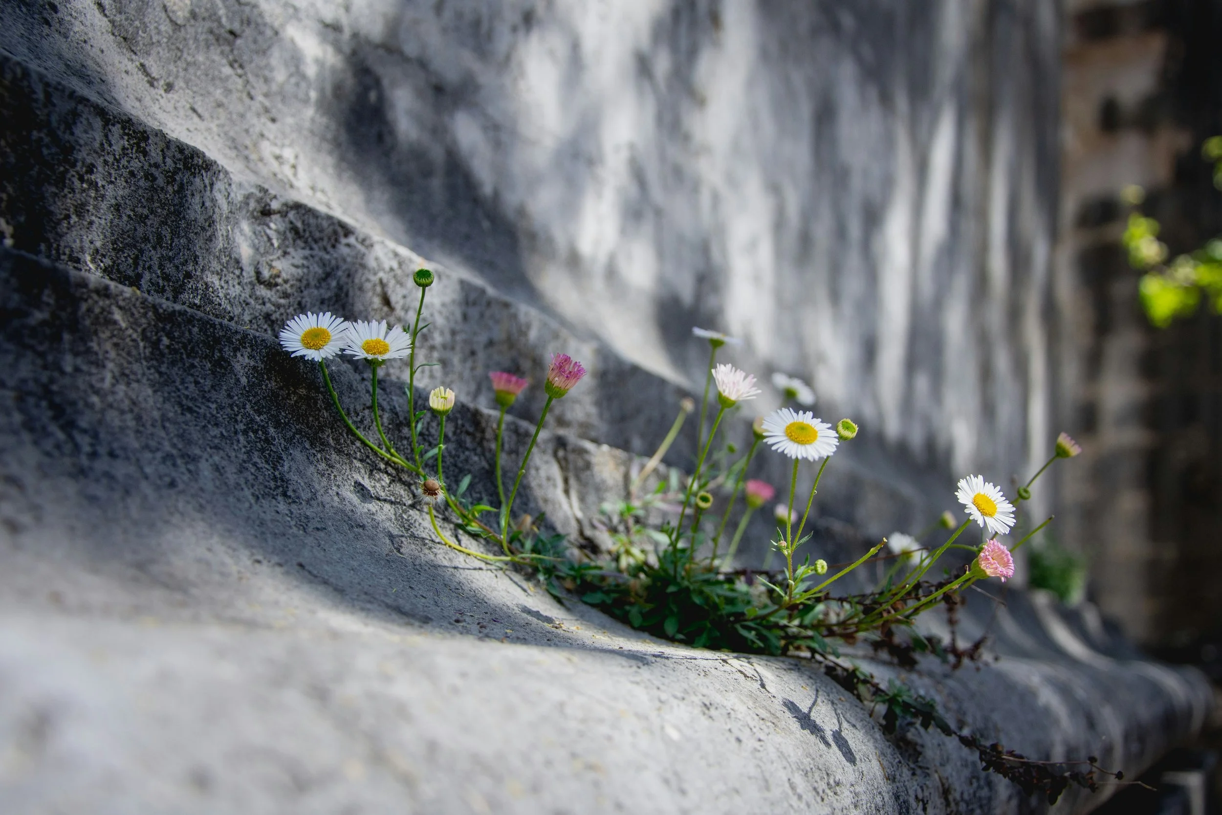 Making Room for Abundance