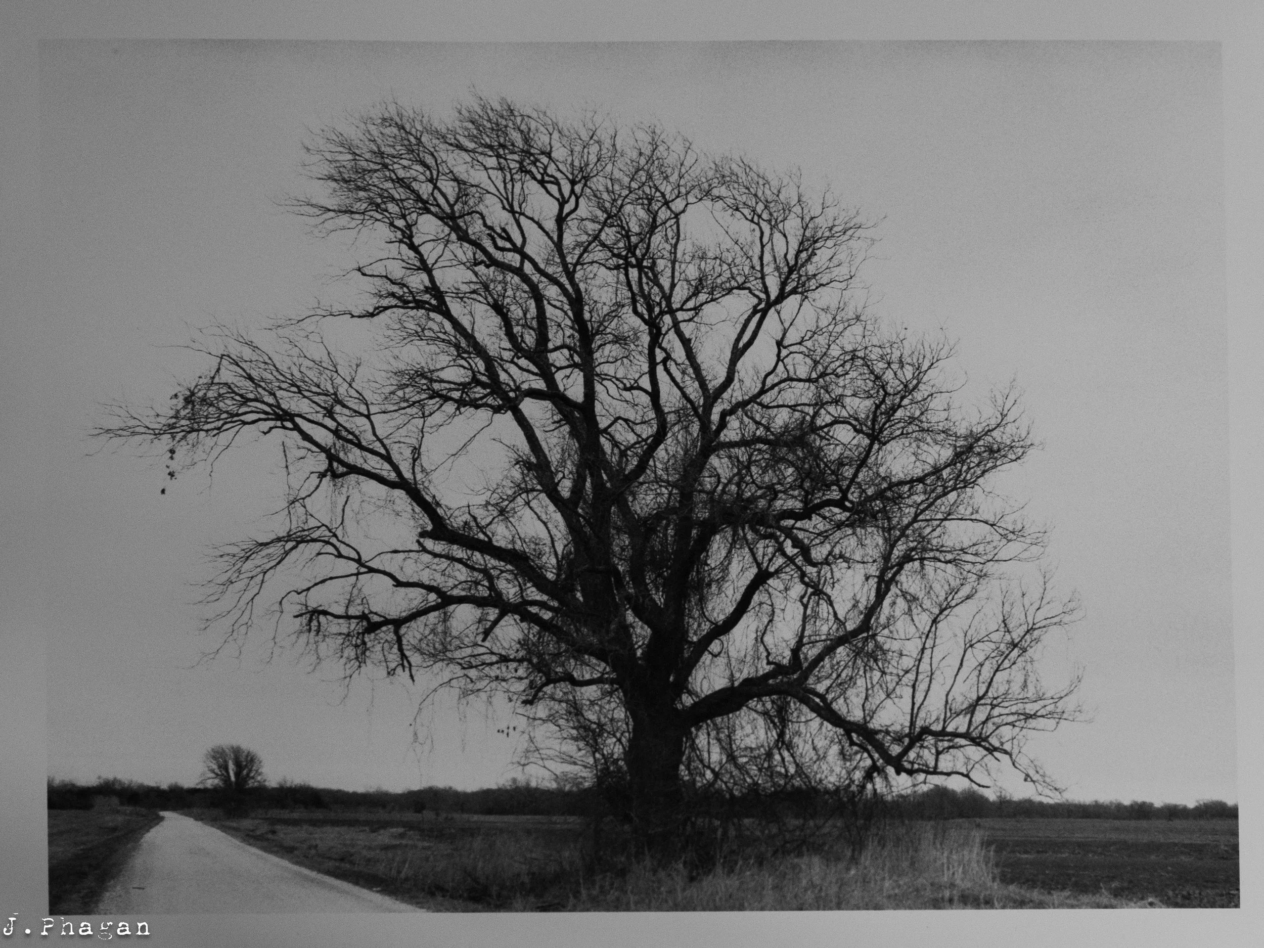 JP.ortfolio BW 35mm-5.jpg