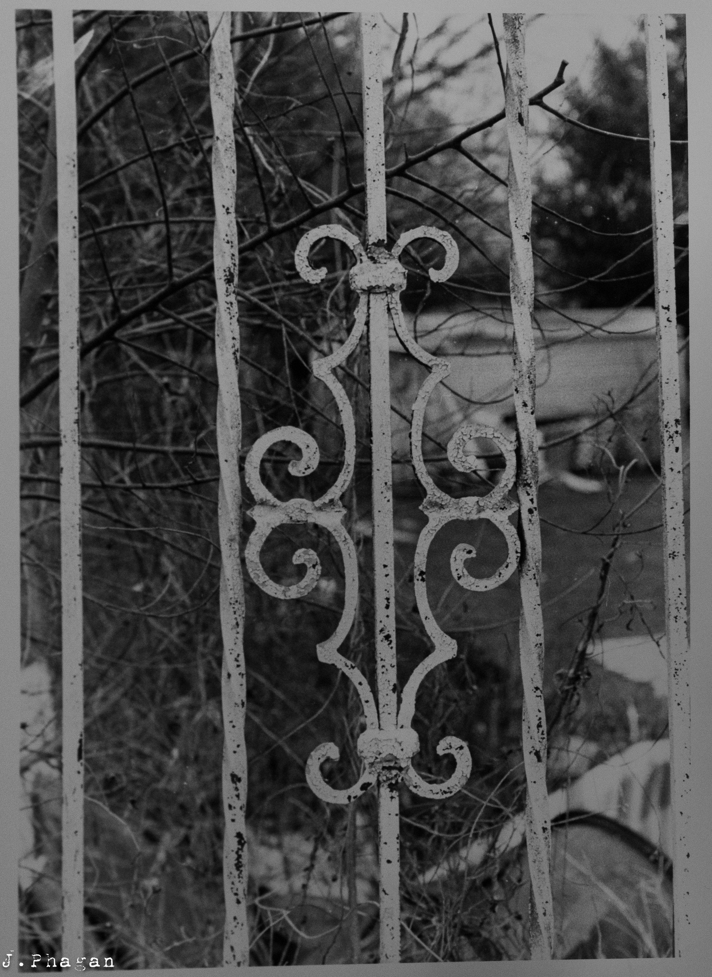 JP.ortfolio BW 35mm-3.jpg