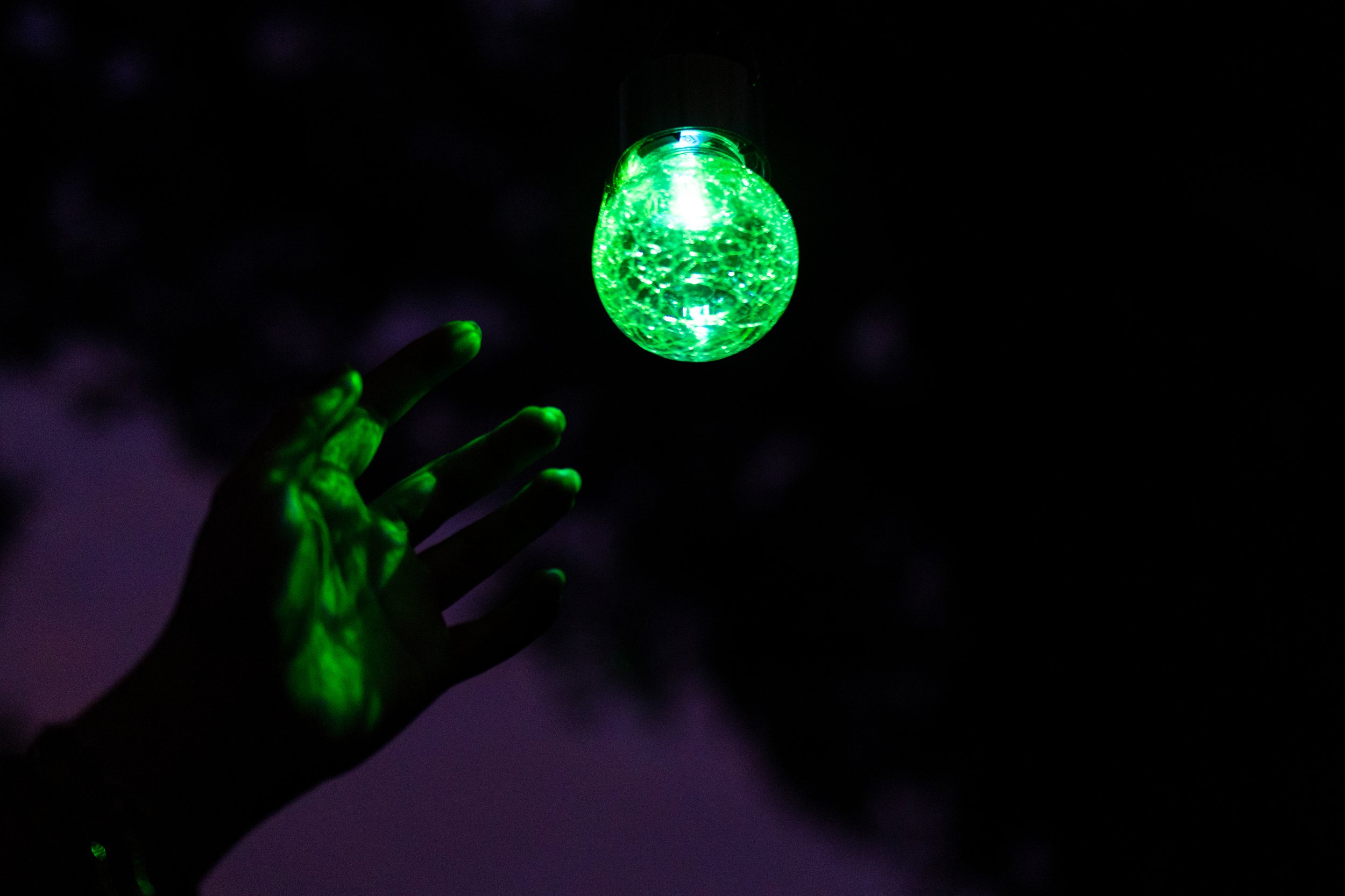 Light Out of Reach. [R. Sherman] by J. Phagan Belton, TX 2026