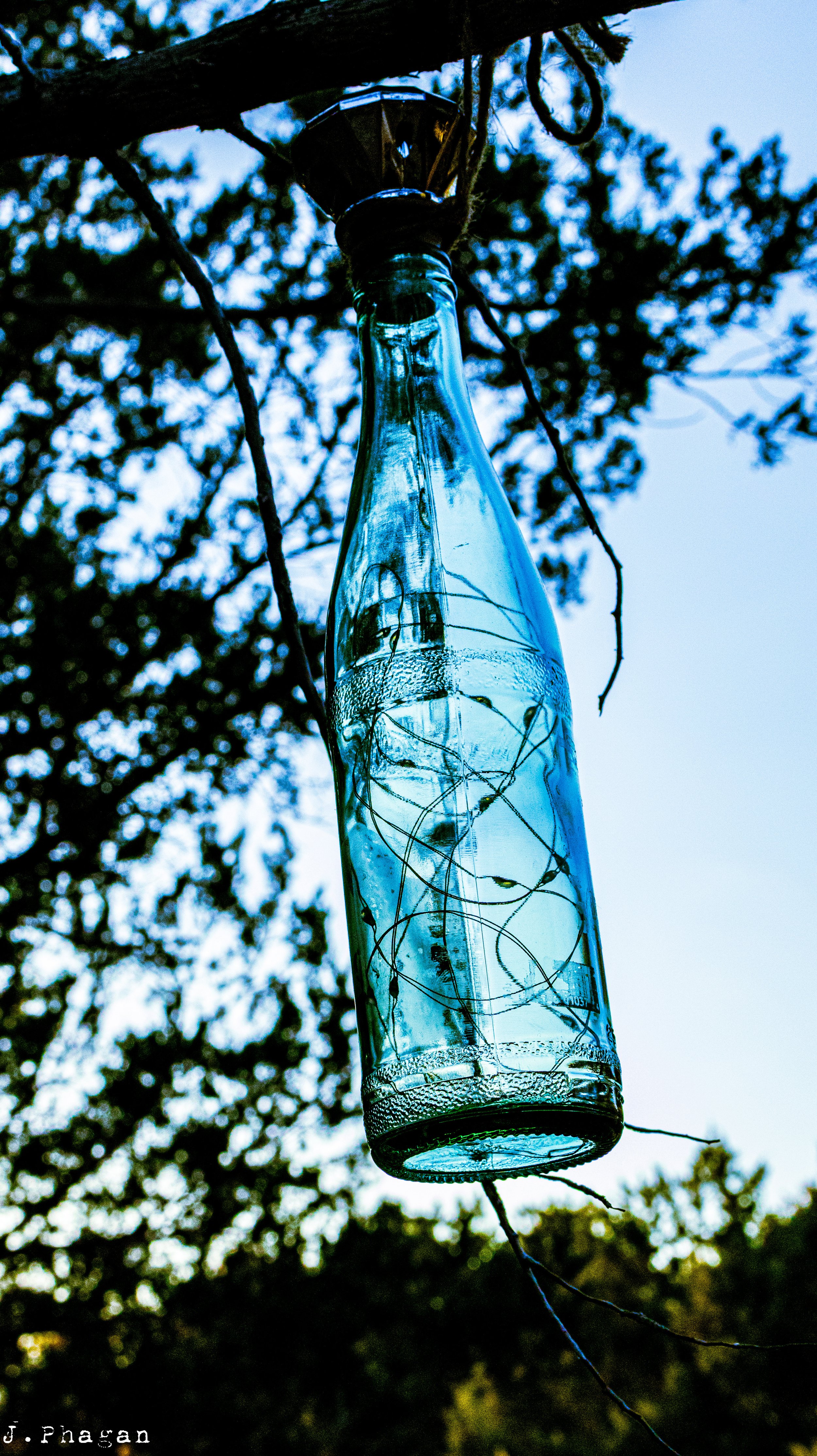 Bottle at Dusk by J. Phagan Belton, TX 2025