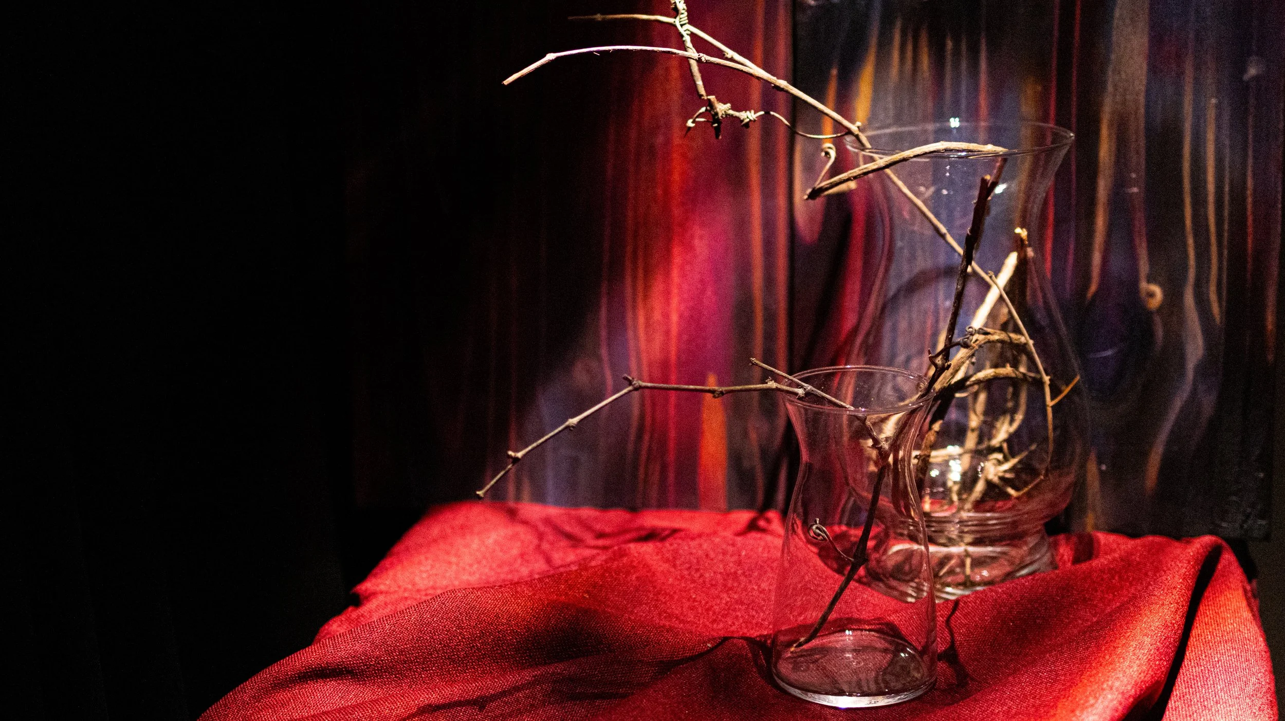 Grapevine in Vase on Red by J. Phagan, Belton, TX 2026