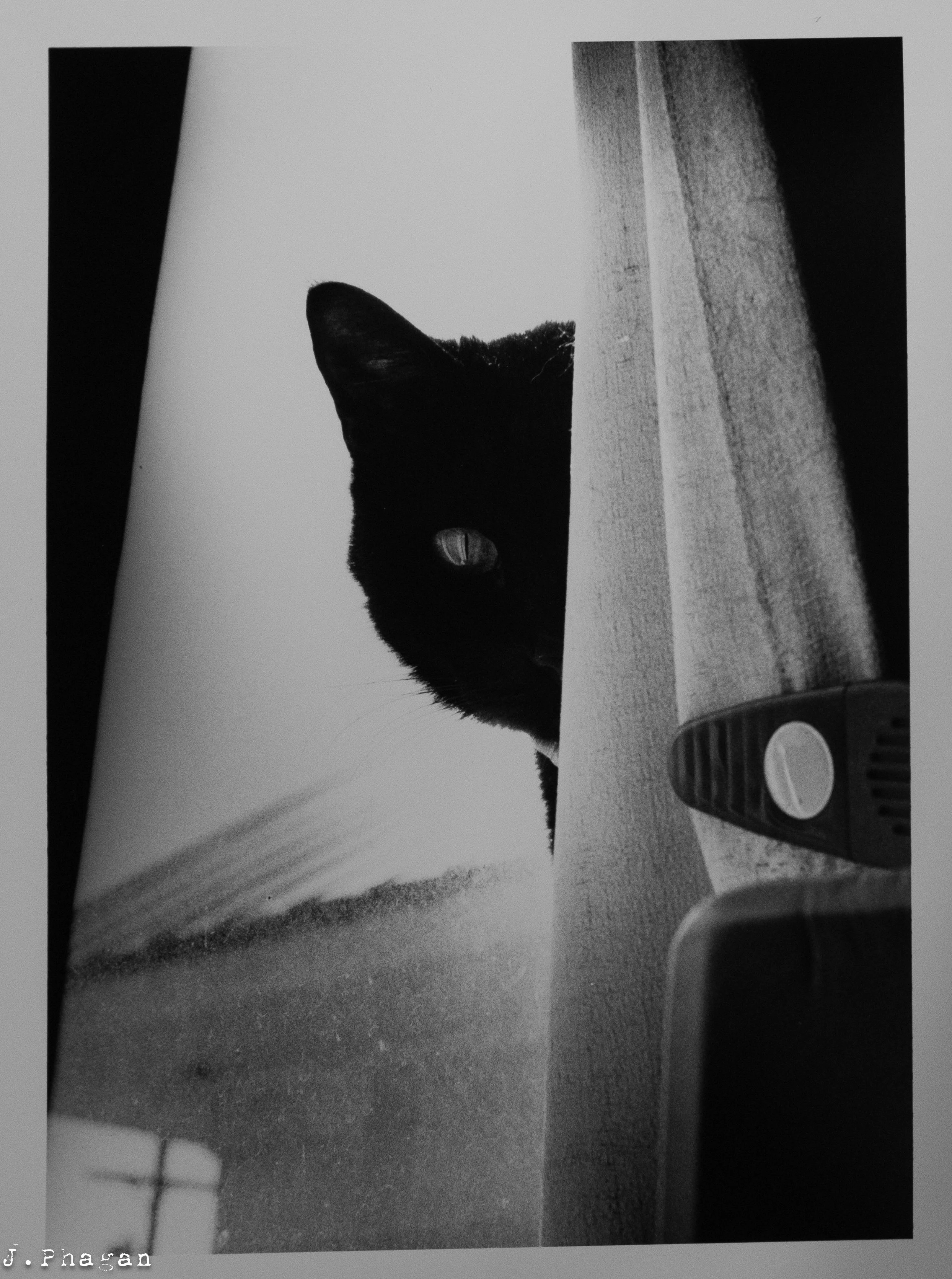 JP.ortfolio BW 35mm-6.jpg