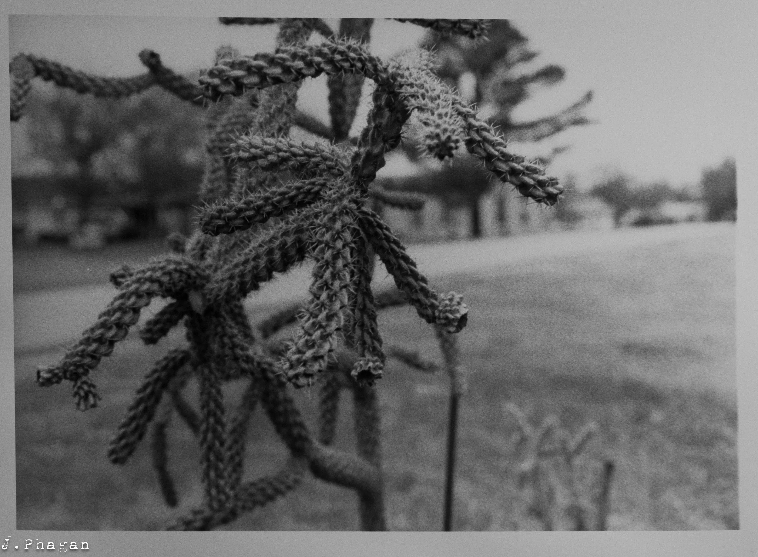 JP.ortfolio BW 35mm-1.jpg