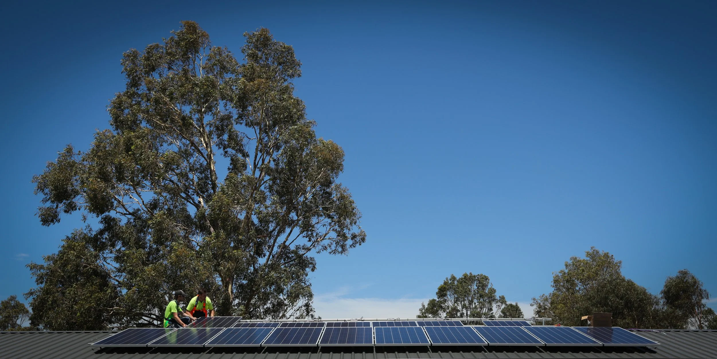 Two workers in bright safety vests and helmets installing solar panels on a roof under a clear blue sky with tall eucalyptus trees in the background.