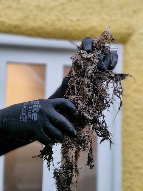 Person wearing black gardening gloves holding a handful of dirt with roots and small rocks outdoors near a yellow building.