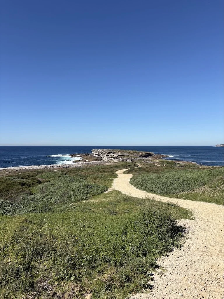 A winding dirt path through green shrubbery leads to a rocky coastal area with the ocean beyond under a clear blue sky.