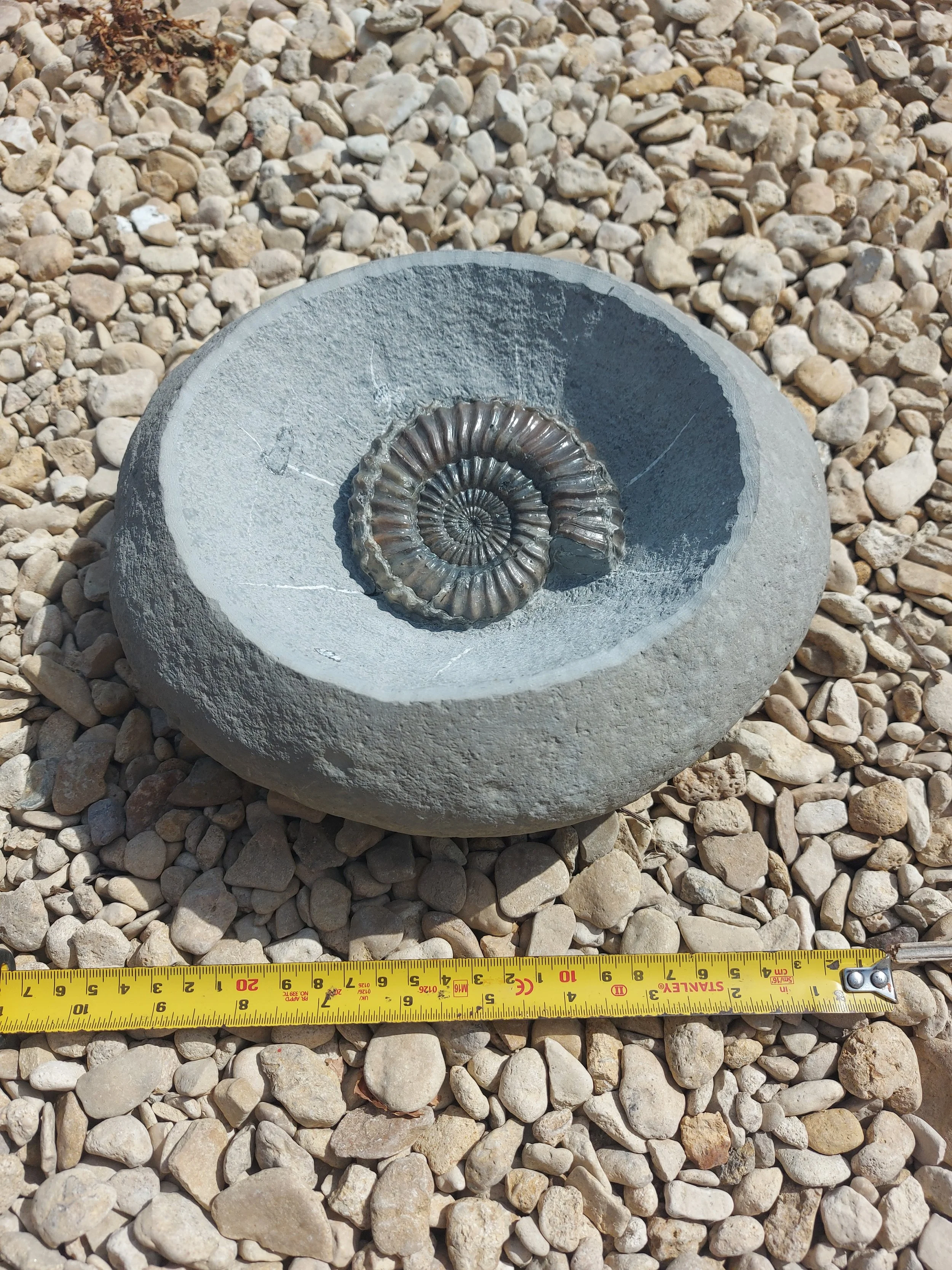 20260803_151932.jpg (Copy)