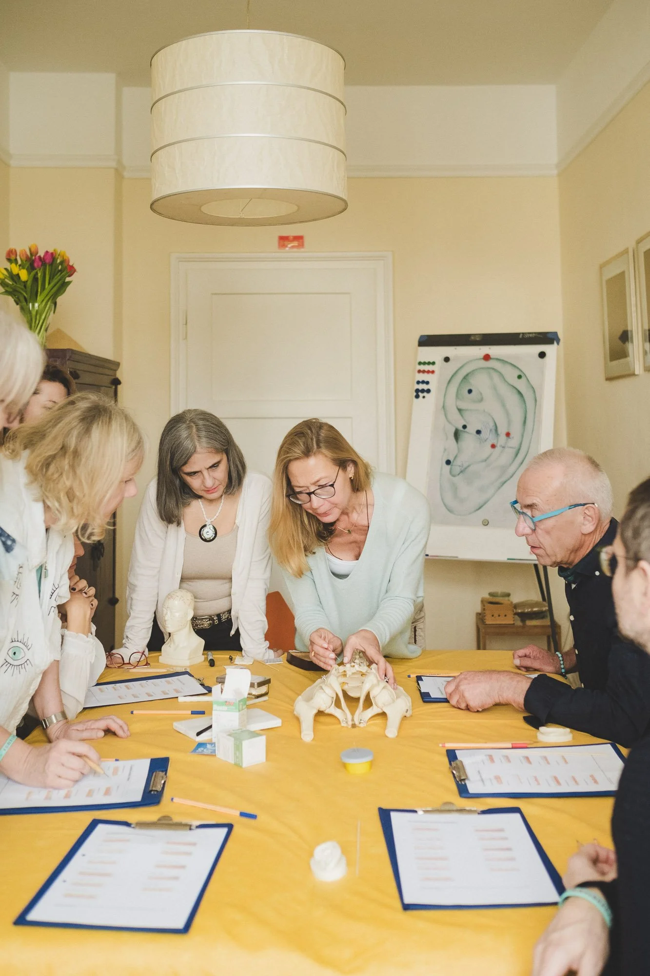 Menschen versammeln sich um einen Tisch mit Anatomiemodellen, Papieren und Schreibmaterialien in einem Raum, der für eine Schulung oder einen Workshop eingerichtet ist.