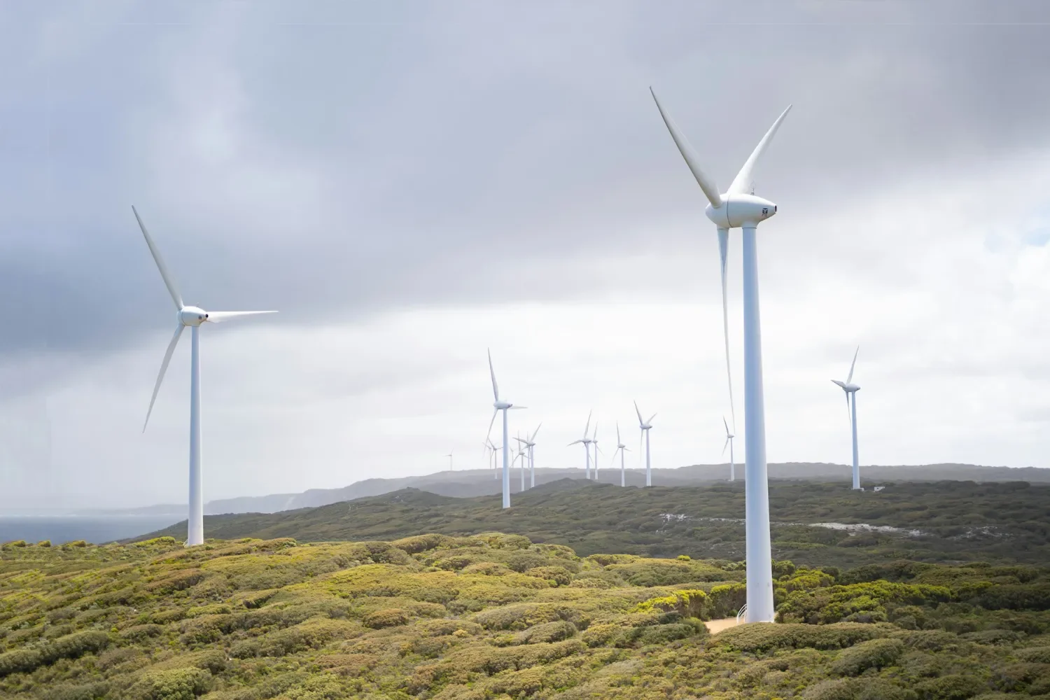 Case Study: Tilt Renewables