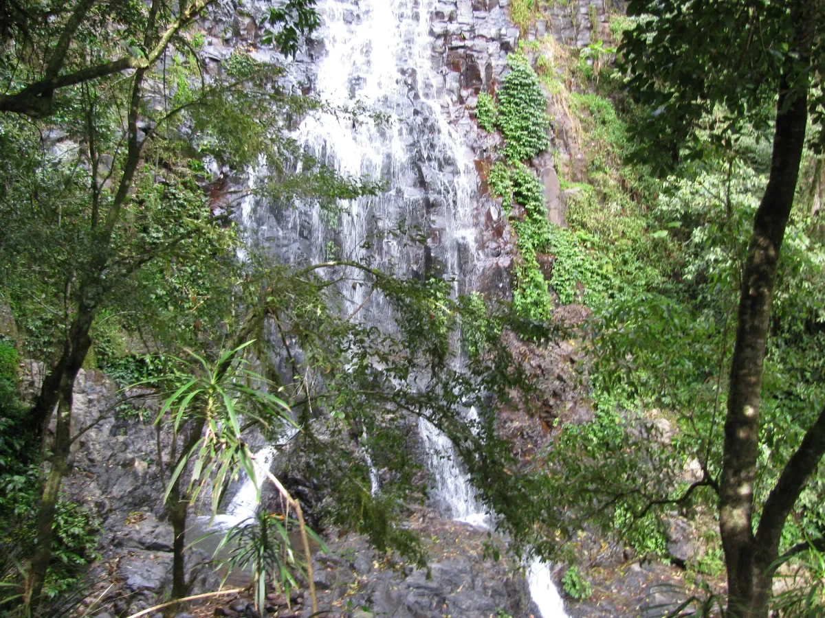 Waterfall in NSW bushland