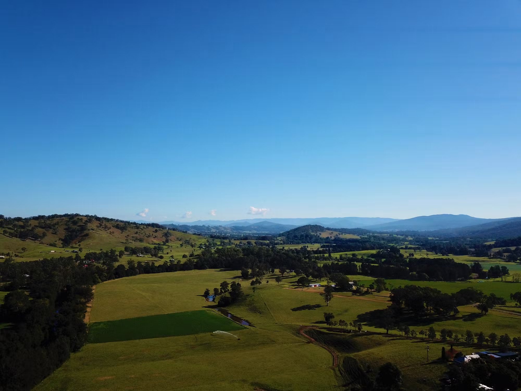 Scenic view of regional NSW featuring rolling green hills, trees, and farmhouses under a bright blue sky with some wispy clouds in the distance.