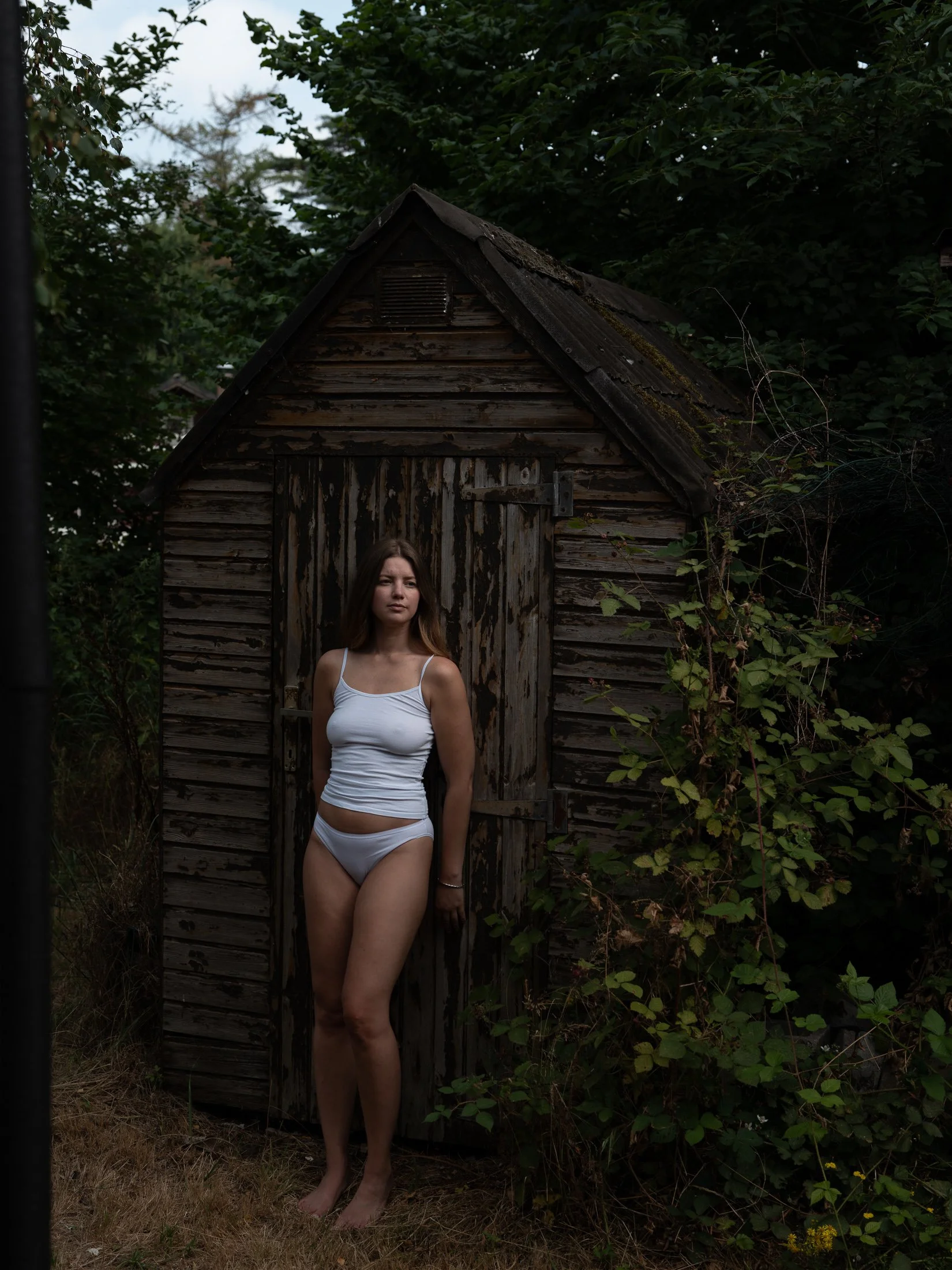shed, 2026
