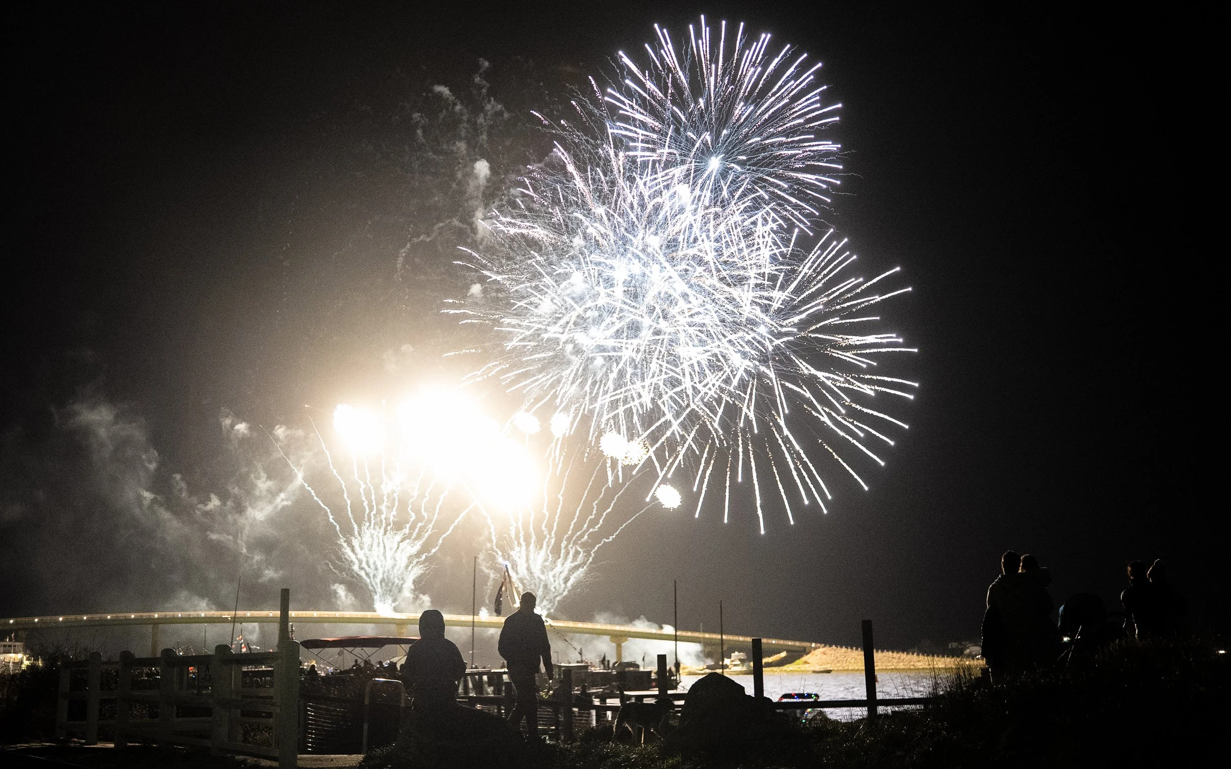 Fireworks exploding in the night sky with silhouettes of people watching from a waterfront area.