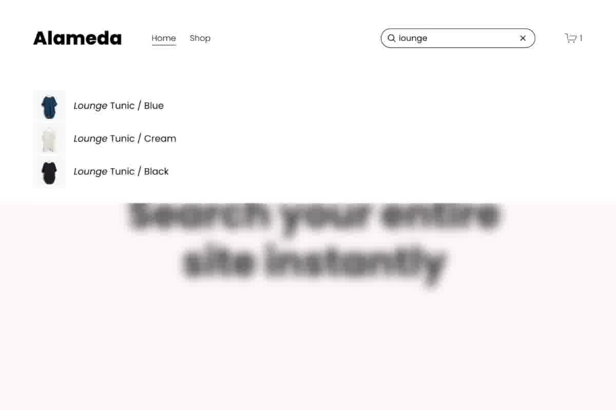s/site-search.mp4