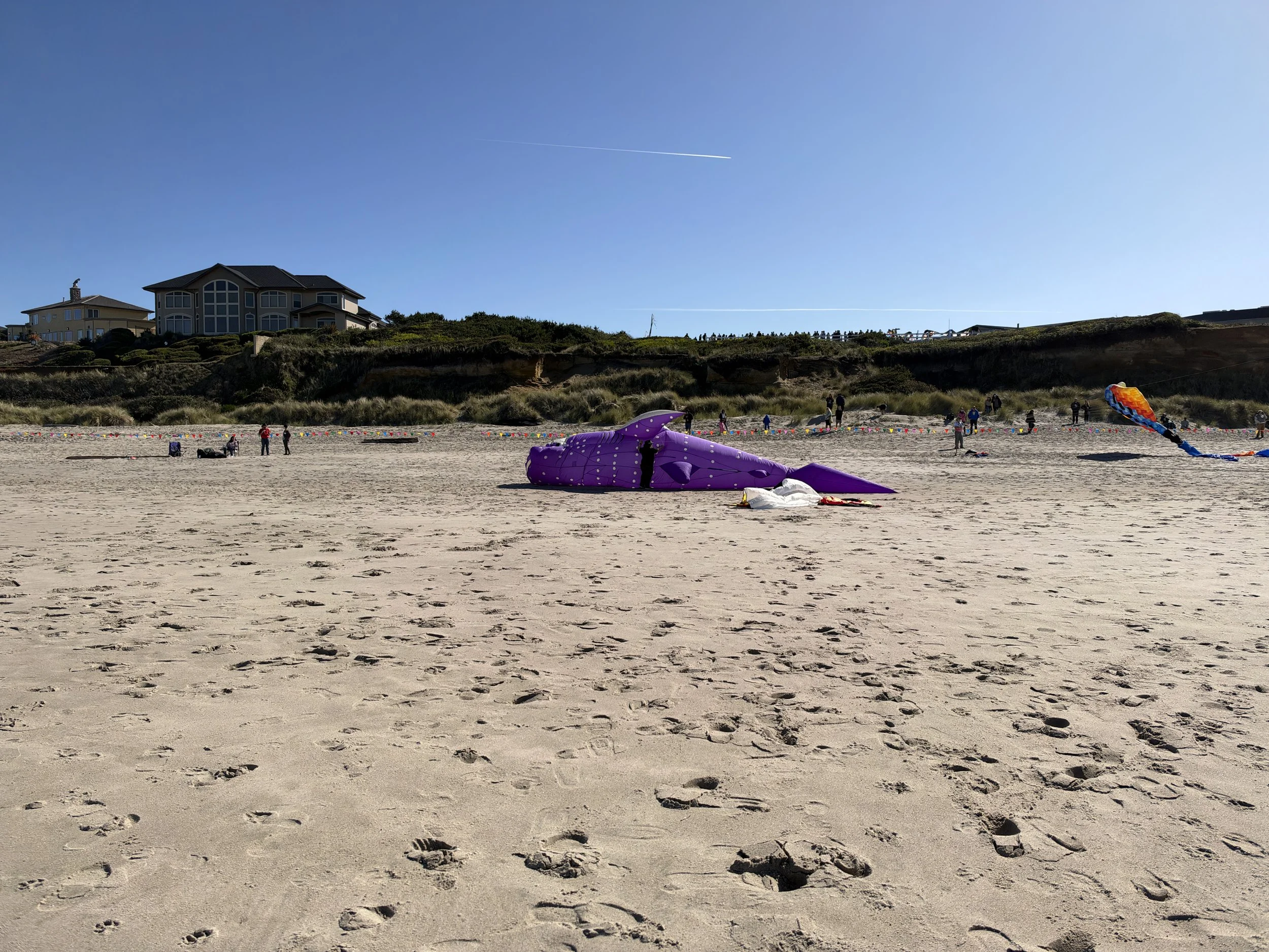 IMG_1011.JPG
