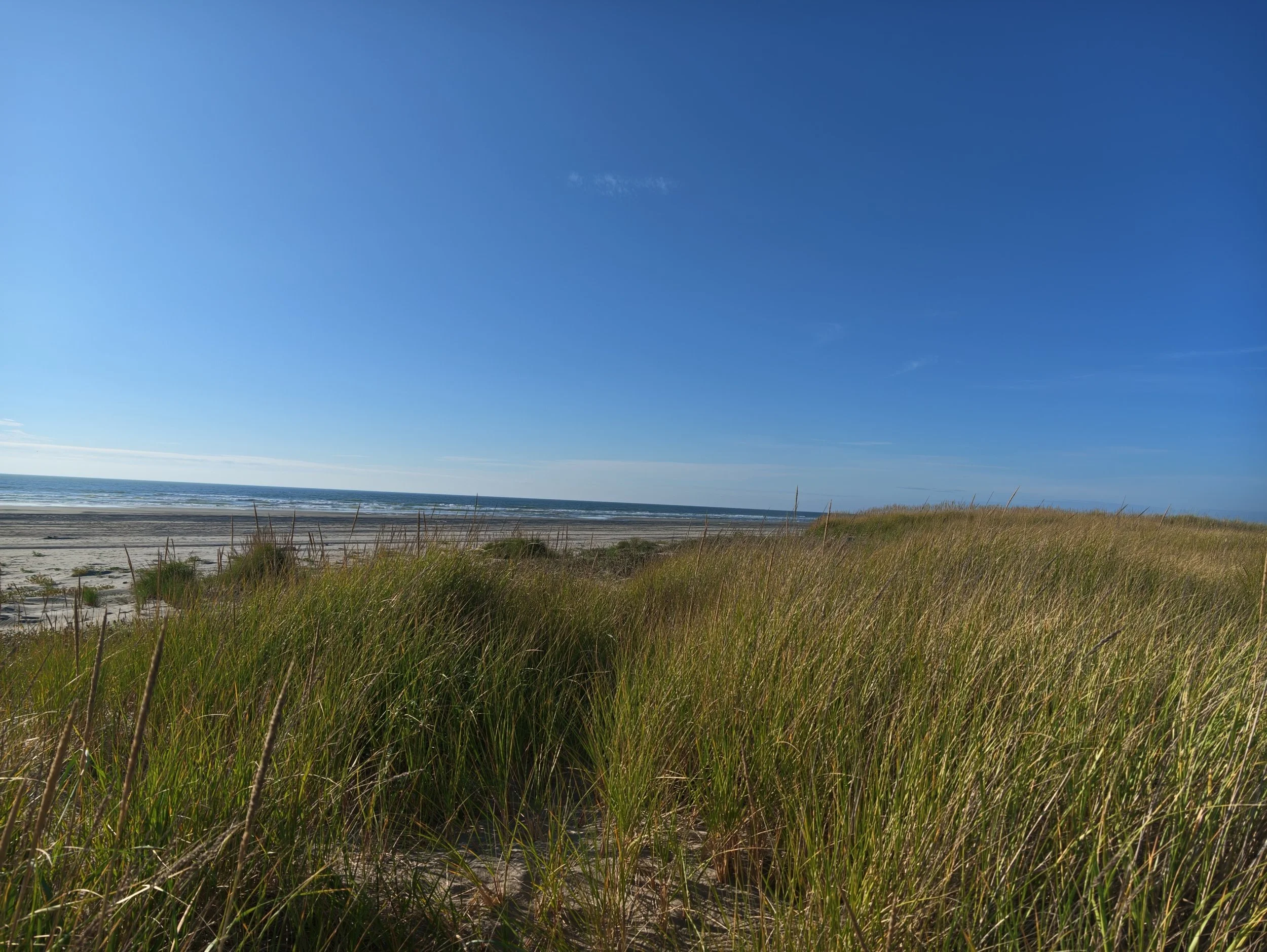 IMG_20260830_175237_038.jpg