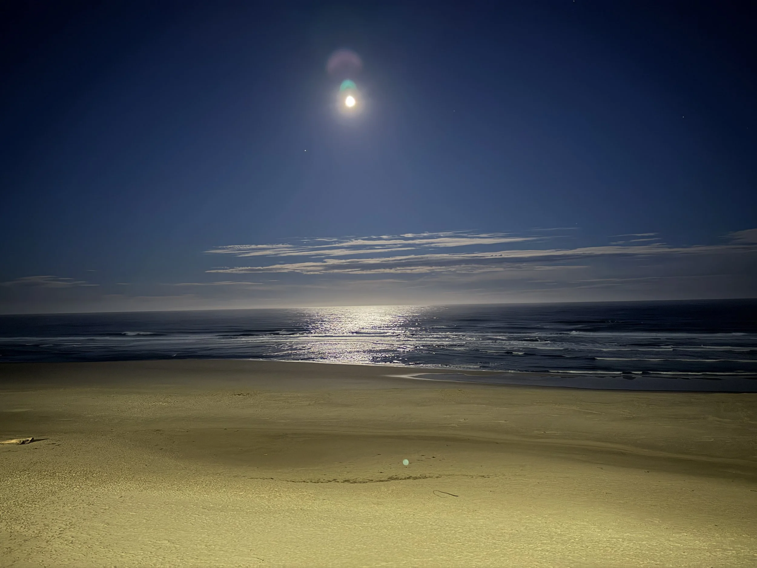 The moon was super bright!