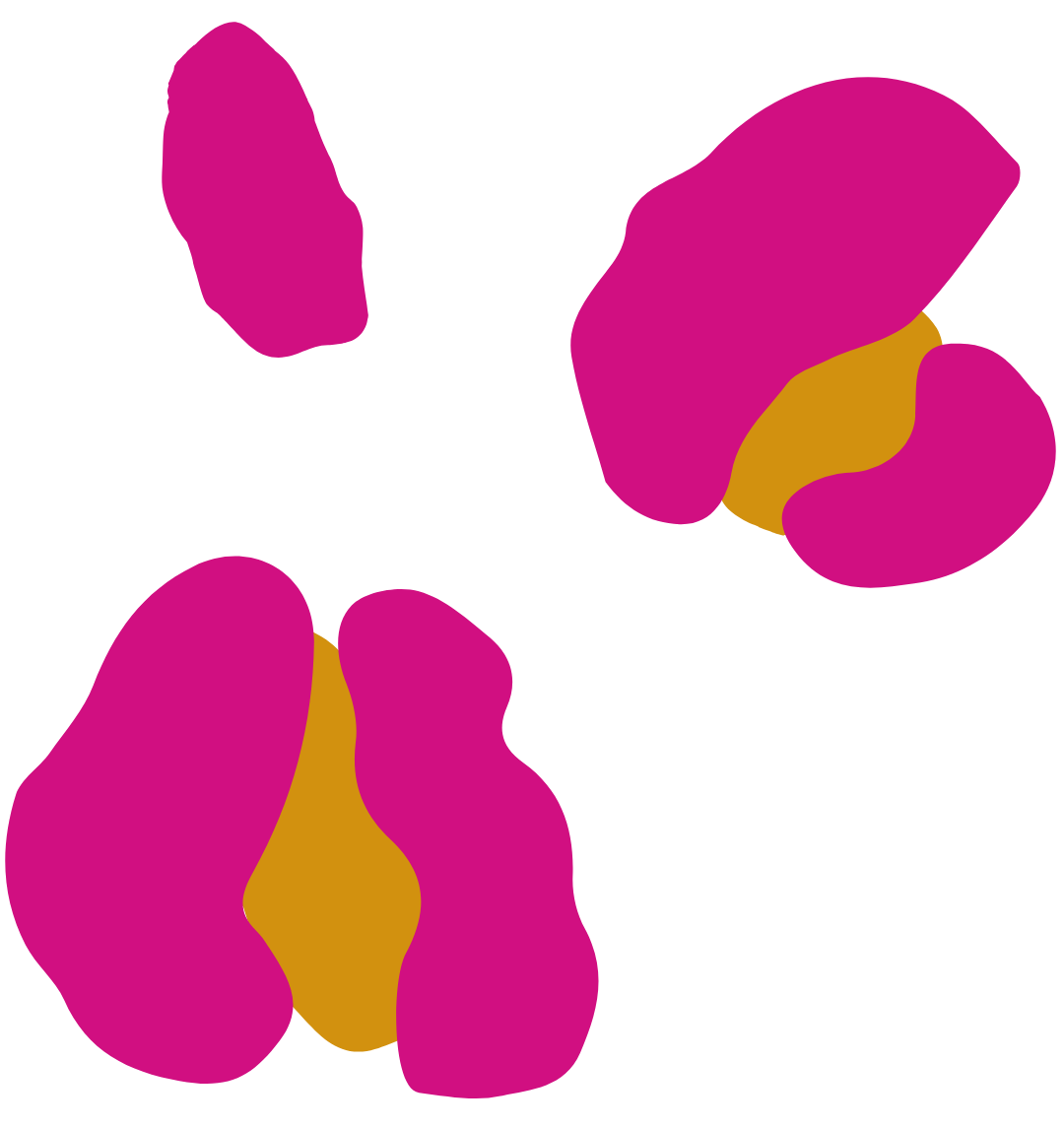 Abstract digital illustration of two pink and gold floral shapes against a black background.