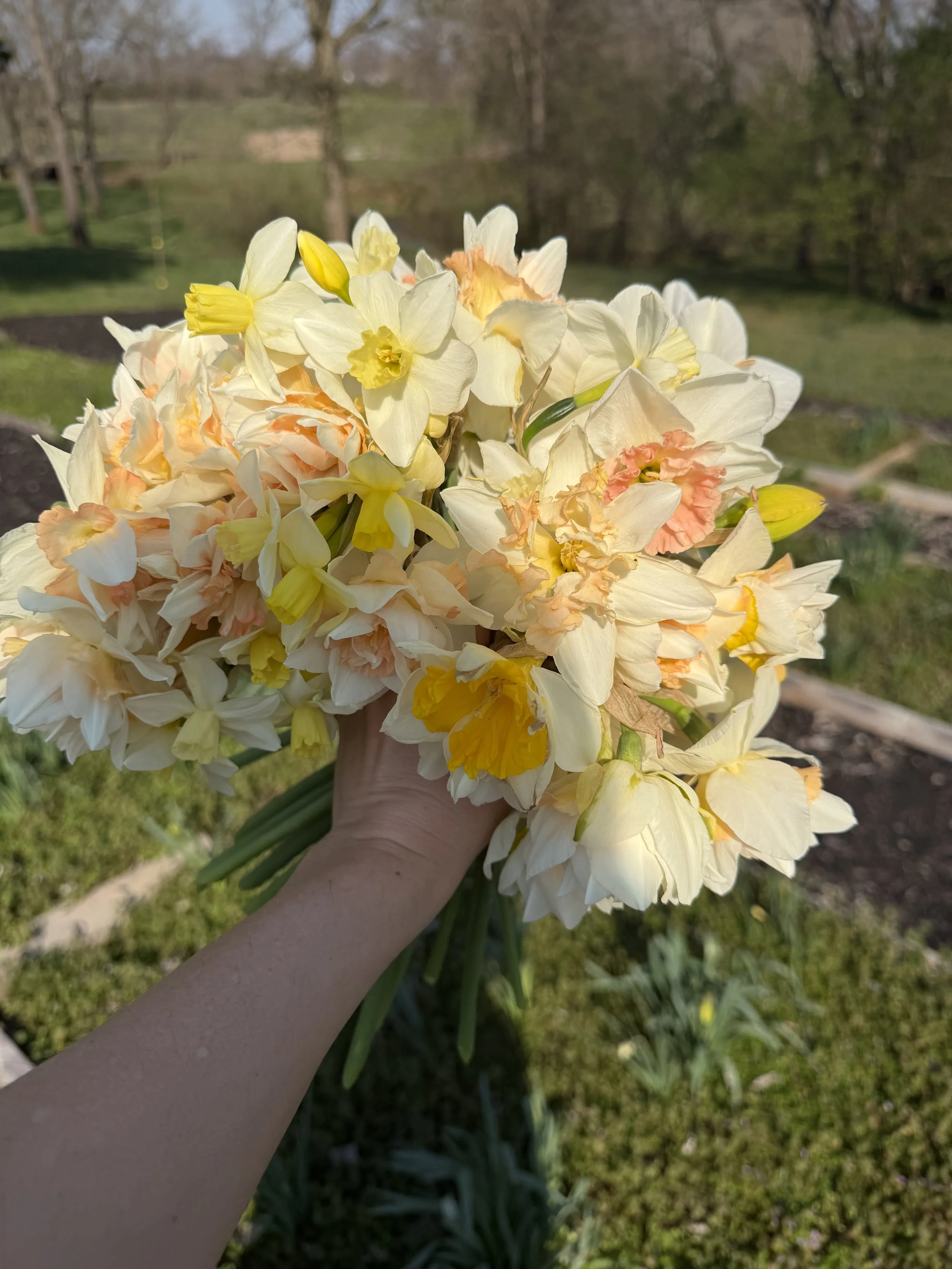 A person holding a bouquet of yellow, white, and peach flowers outdoors with green grass, trees, and a garden bed in the background.