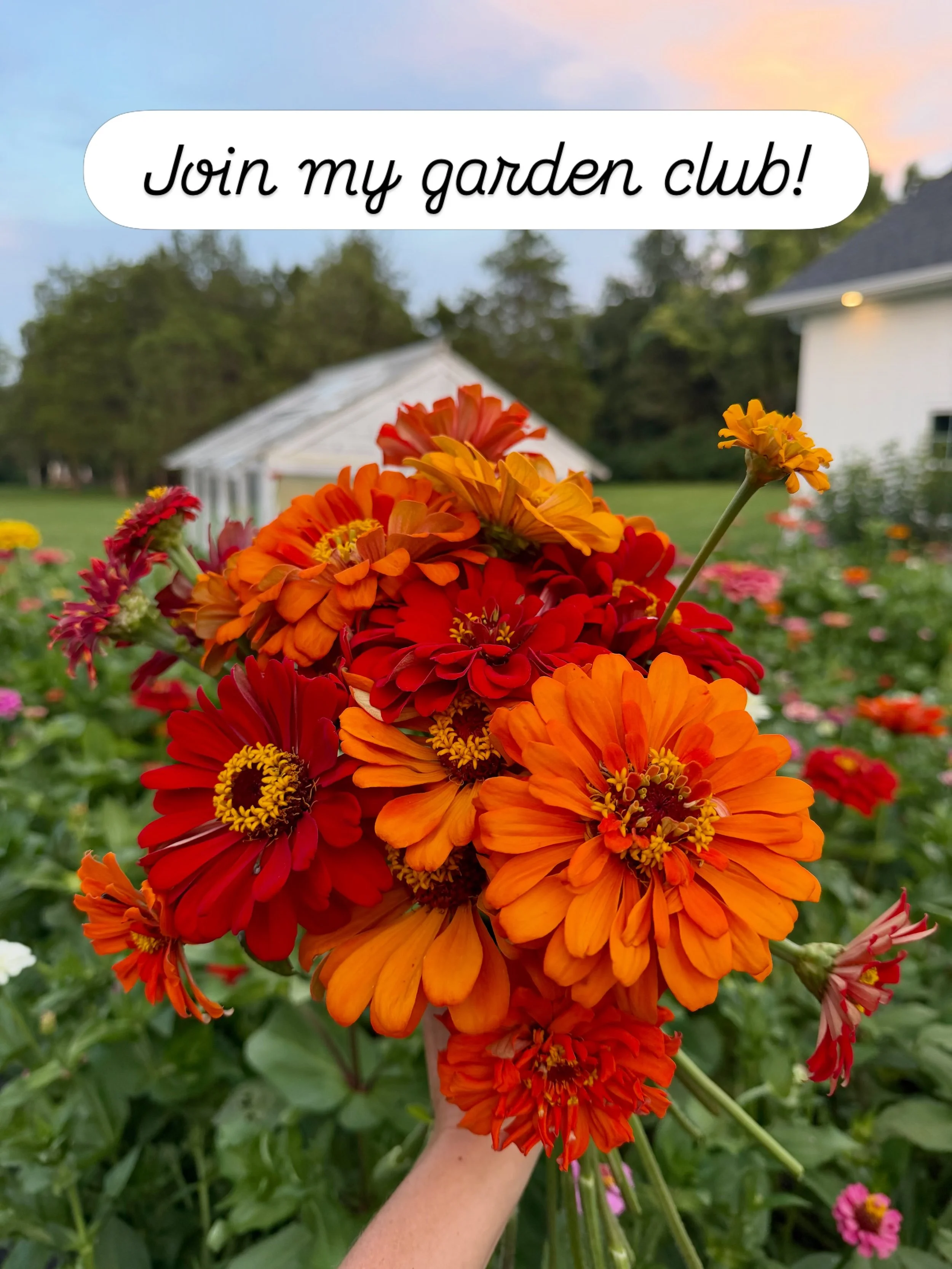 🌿 One week of The Little Bloom Co. being live!

And now that you&rsquo;ve had a chance to look around, I wanted to invite you to join my little Garden Club. 💛 Think of it as a little note from me every now and then filled with what&rsquo;s growing 