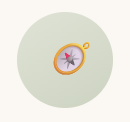 A compass with a pink starfish inside on a light green background.