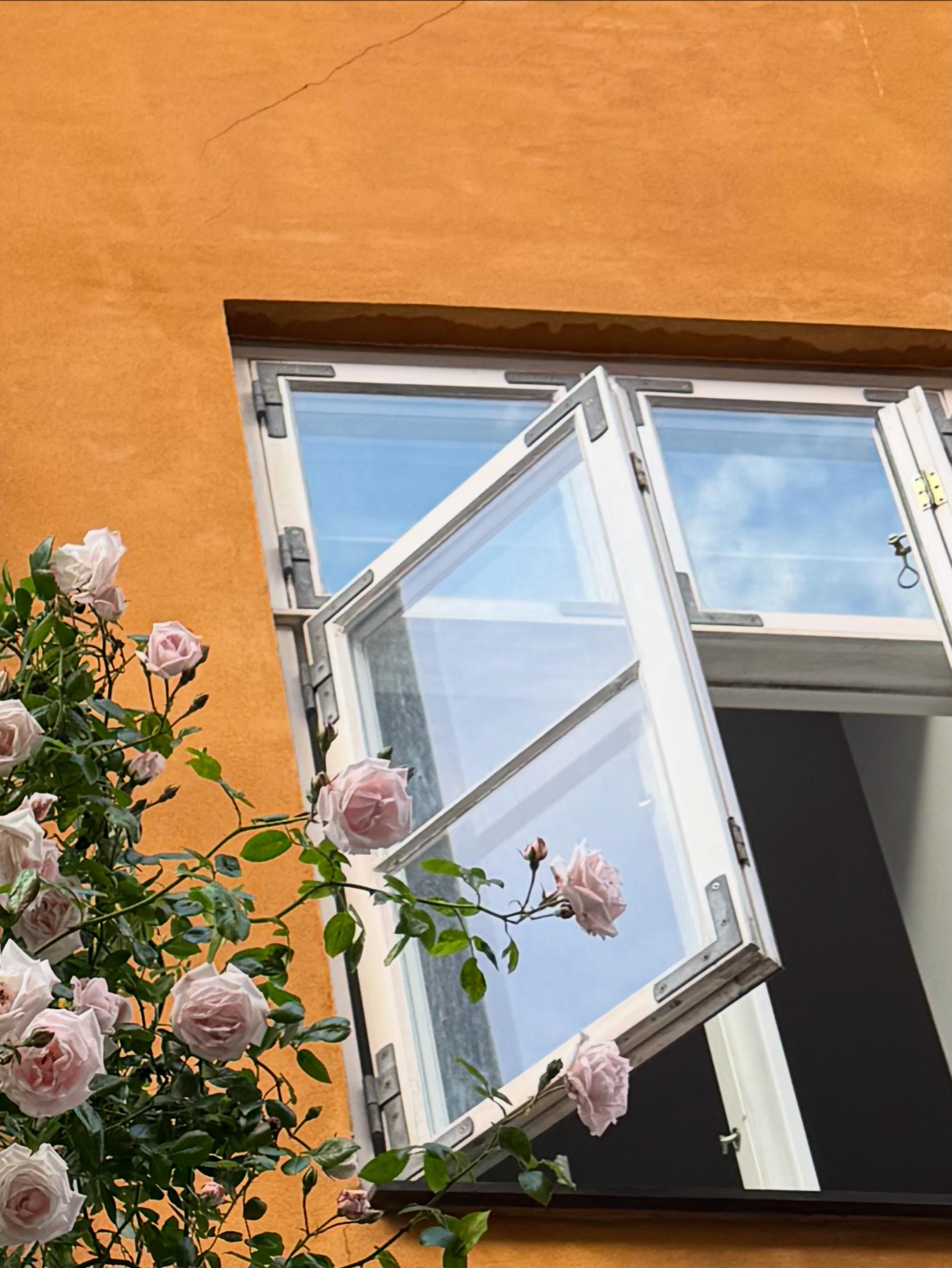 Relocating to Denmark? Homestead Denmark services allow for a smooth transition. Immigration, registration and housing services.