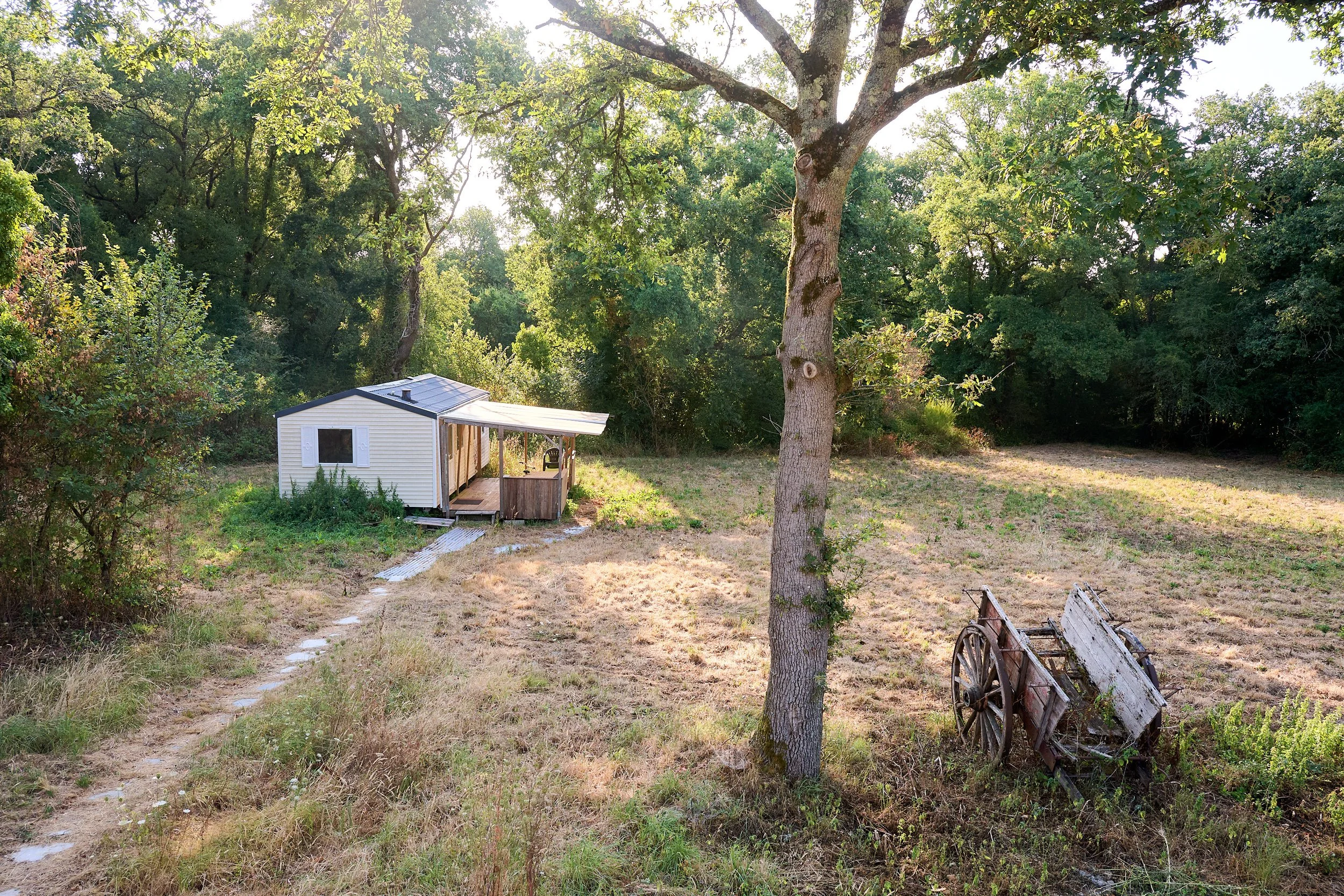 A small white shed with a metal roof in a grassy yard, surrounded by trees and greenery, with a dirt path leading to it and an old wooden cart on the right.
